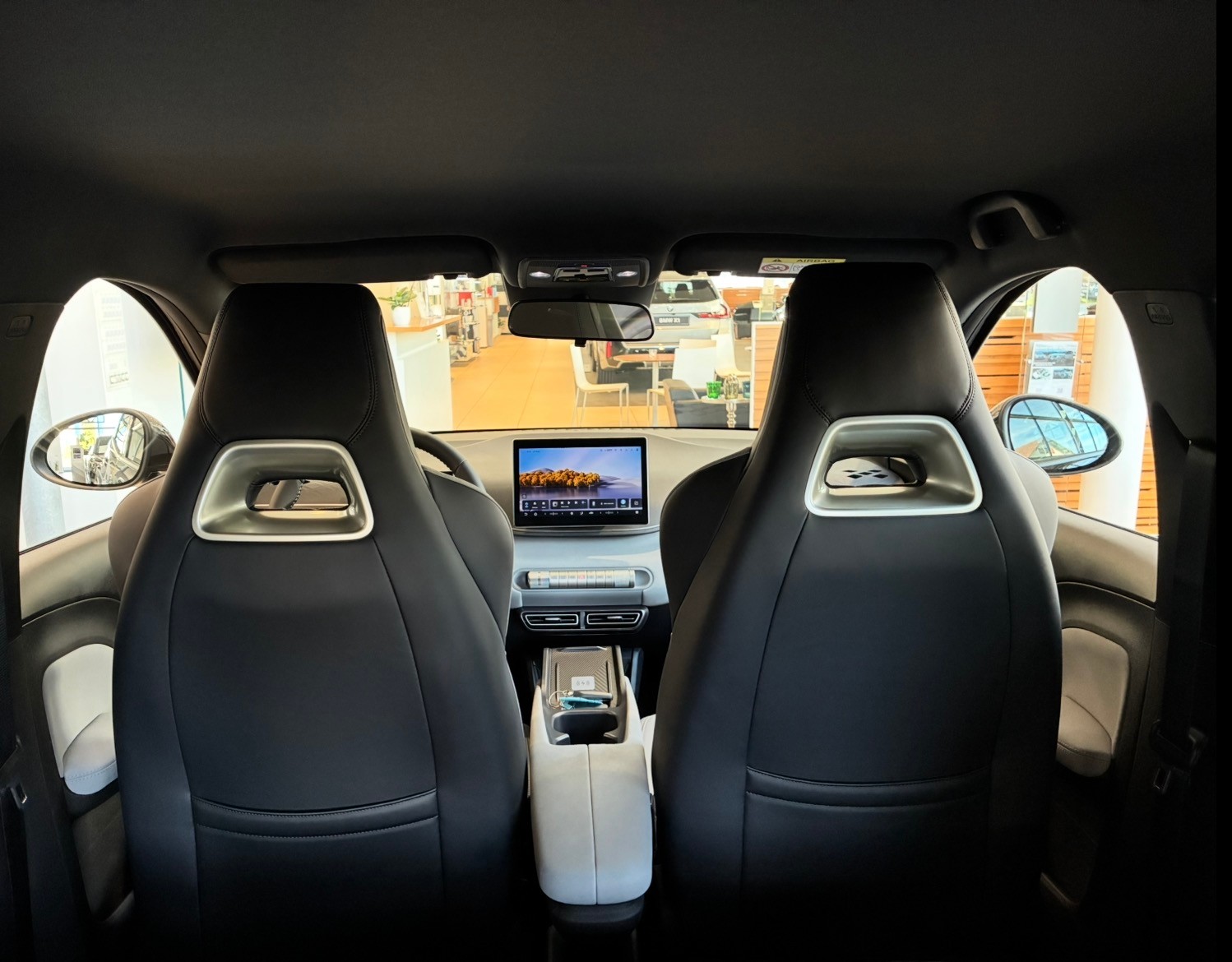 BYD Dolphin Surf Comfort-image-11