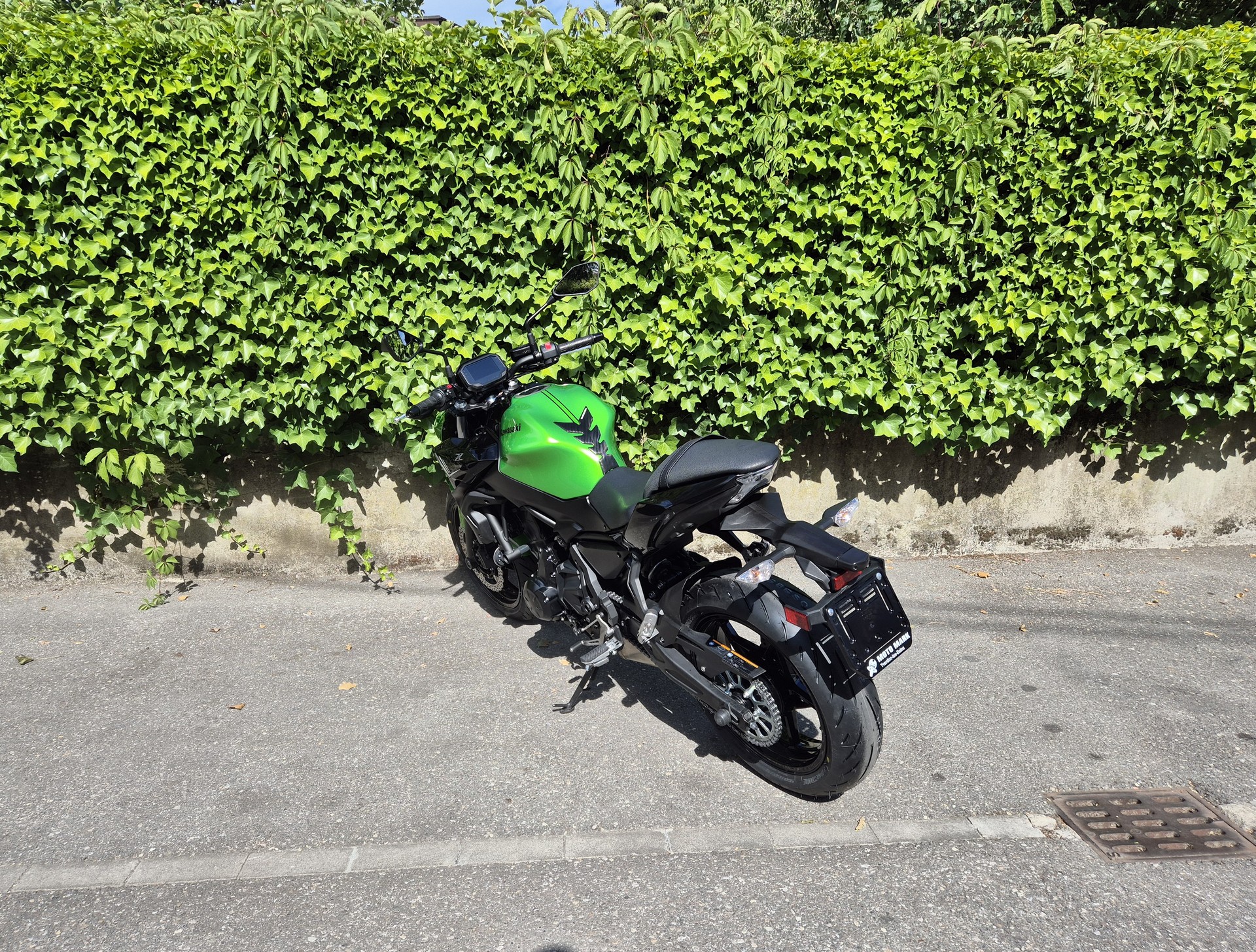 KAWASAKI Z 650 (35kW)-image-2