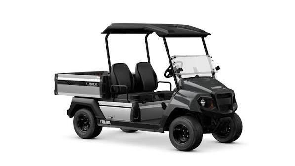 YAMAHA UMX AC elektro-image-6
