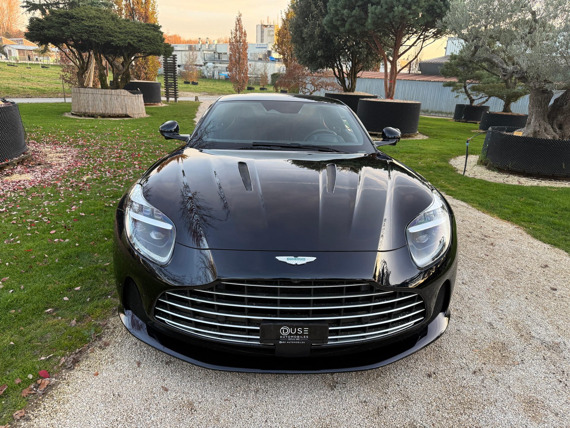ASTON MARTIN DB12-showroom-element-2