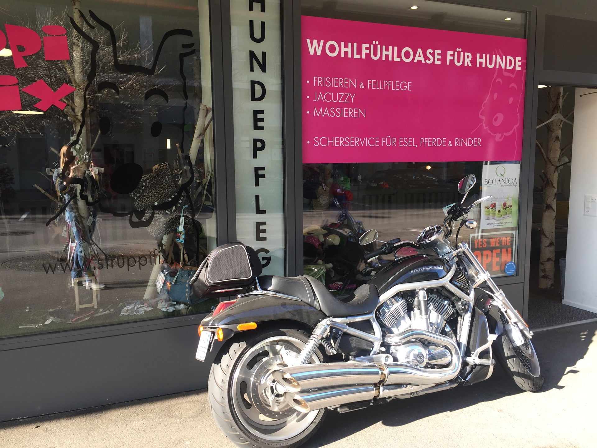 HARLEY-DAVIDSON VRSCAW V-Rod ABS-image-2