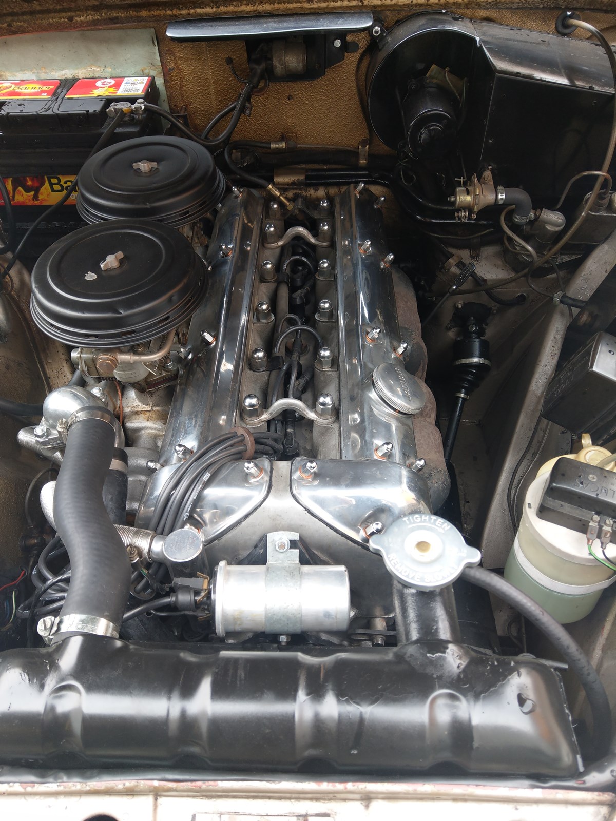 JAGUAR MK 2 2,4-image-5