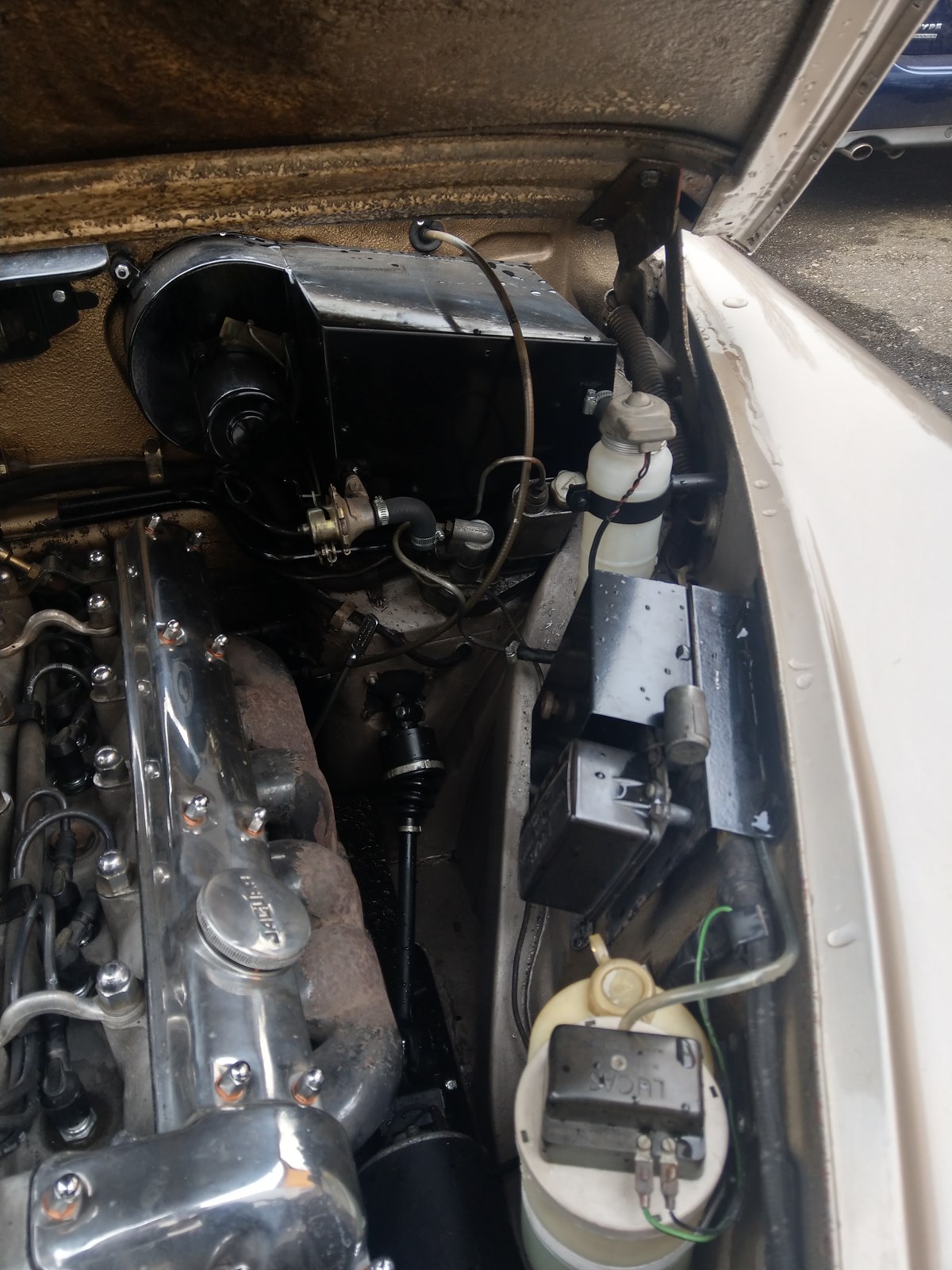 JAGUAR MK 2 2,4-image-8