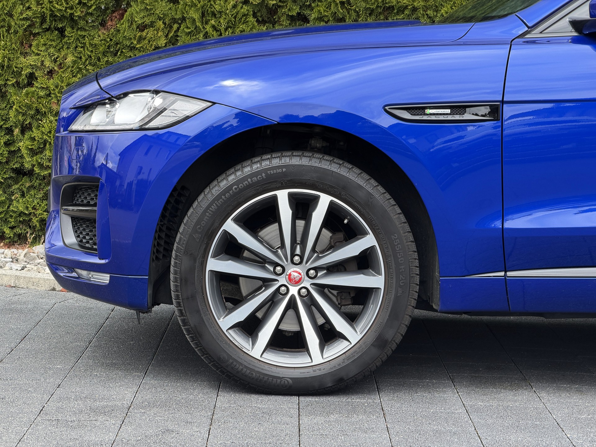 JAGUAR F-Pace 25d R-Sport AWD Automatik-image-7