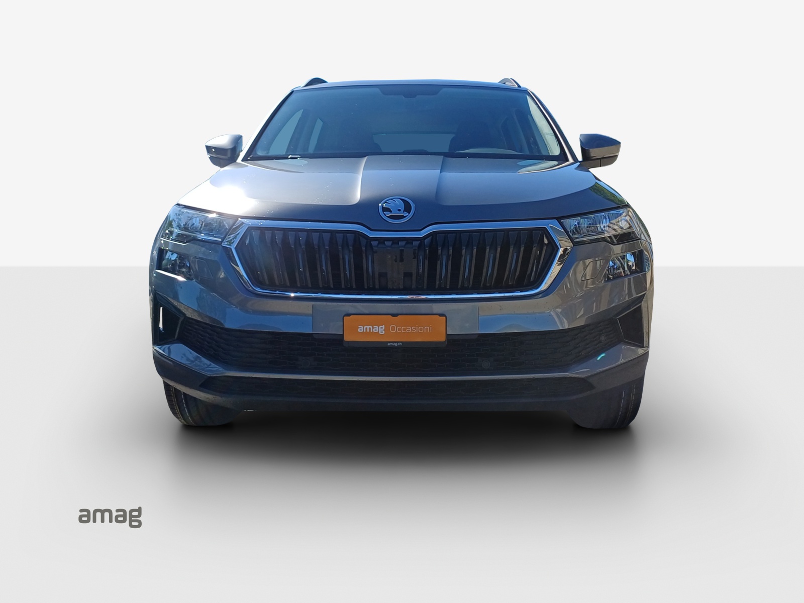SKODA Karoq 1.0 TSI Ambition-image-6