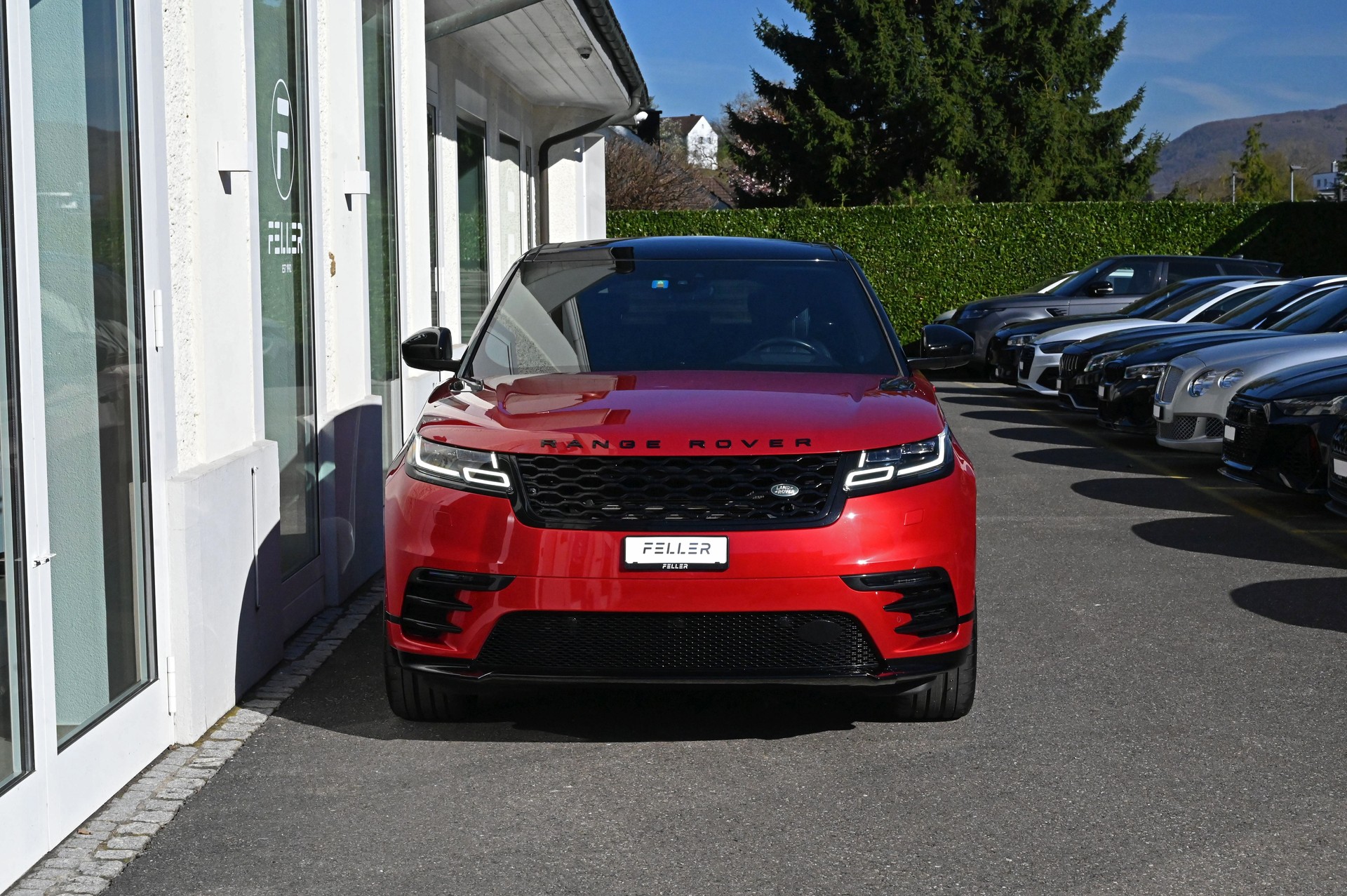 LAND ROVER Range Rover Velar R-Dynamic D 300 SE Automatic-showroom-element-1