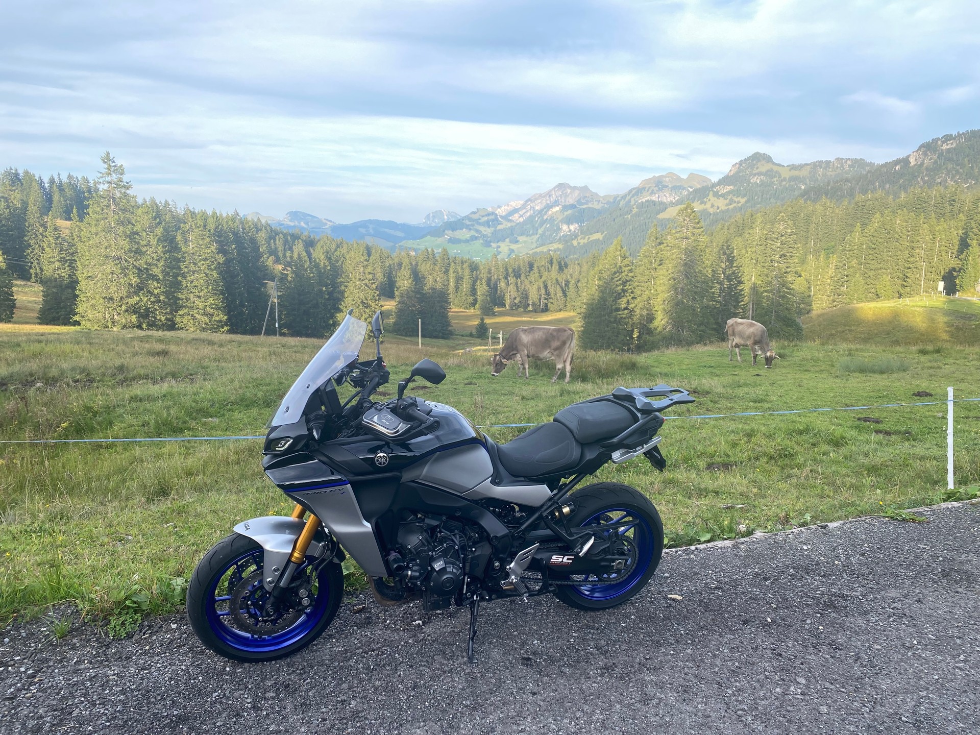 YAMAHA Tracer 9 GT+-image-6