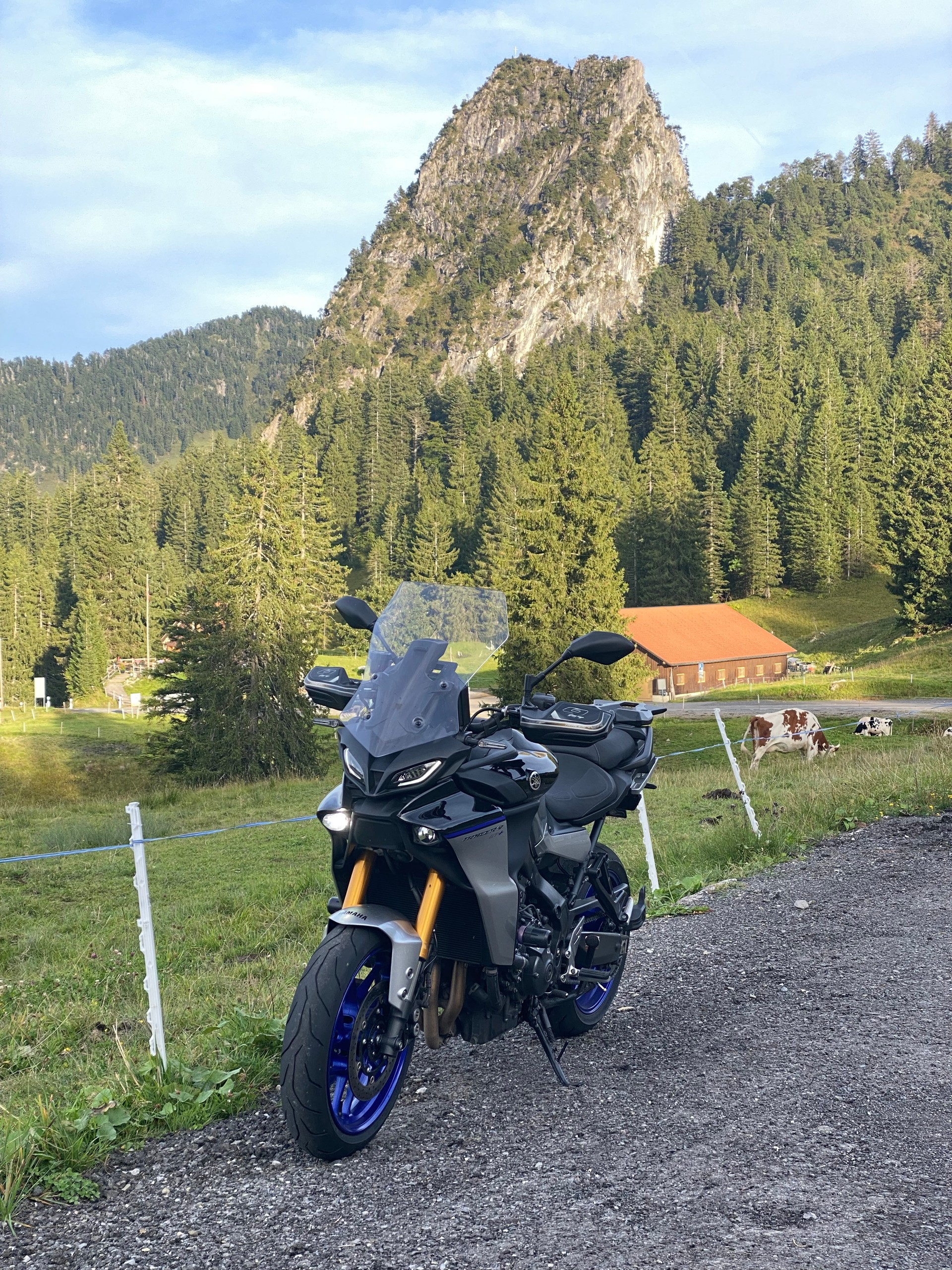 YAMAHA Tracer 9 GT+-image-15