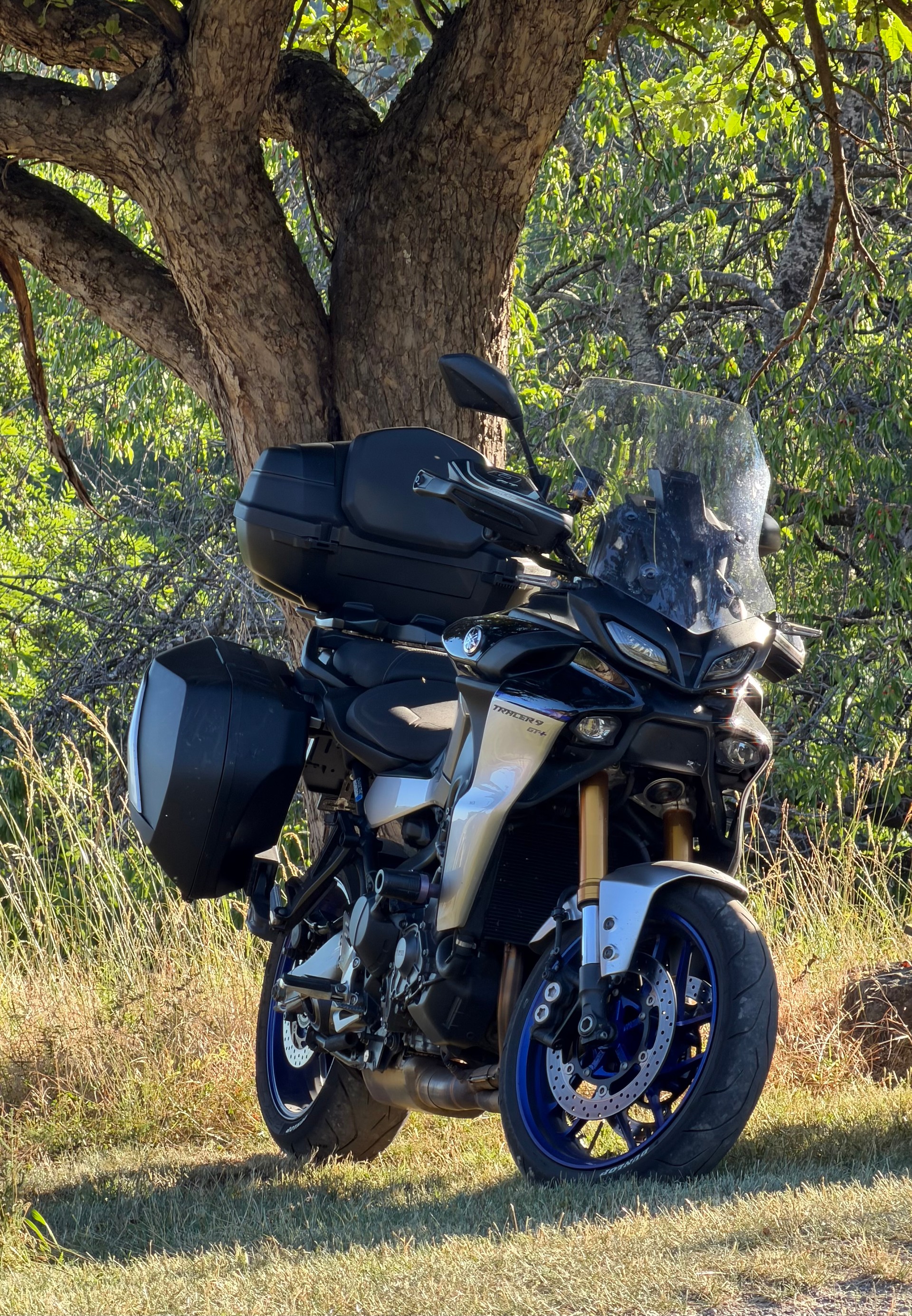 YAMAHA Tracer 9 GT+-image-13