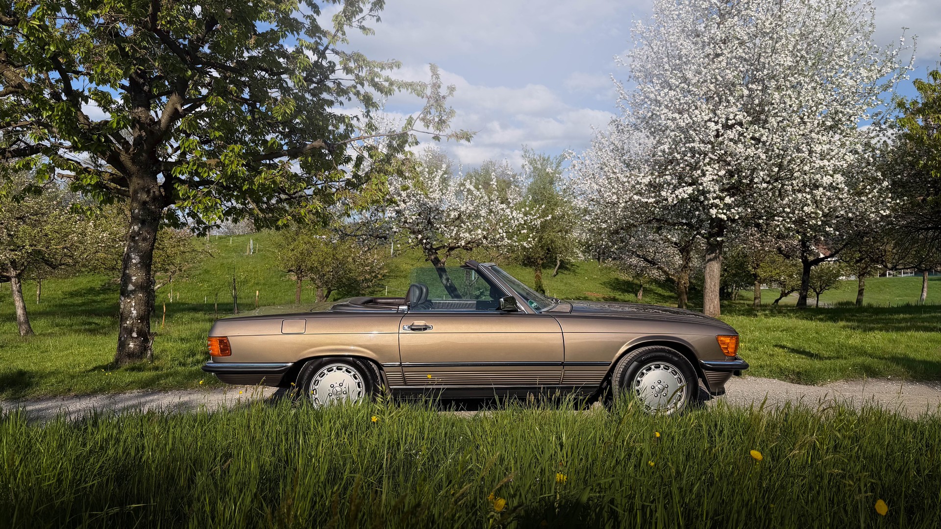 MERCEDES-BENZ 420 SL Automatic-image-2