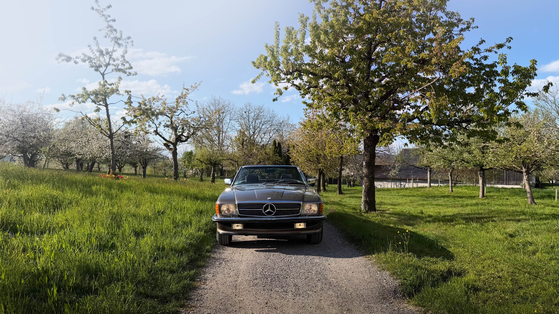MERCEDES-BENZ 420 SL Automatic-image-1