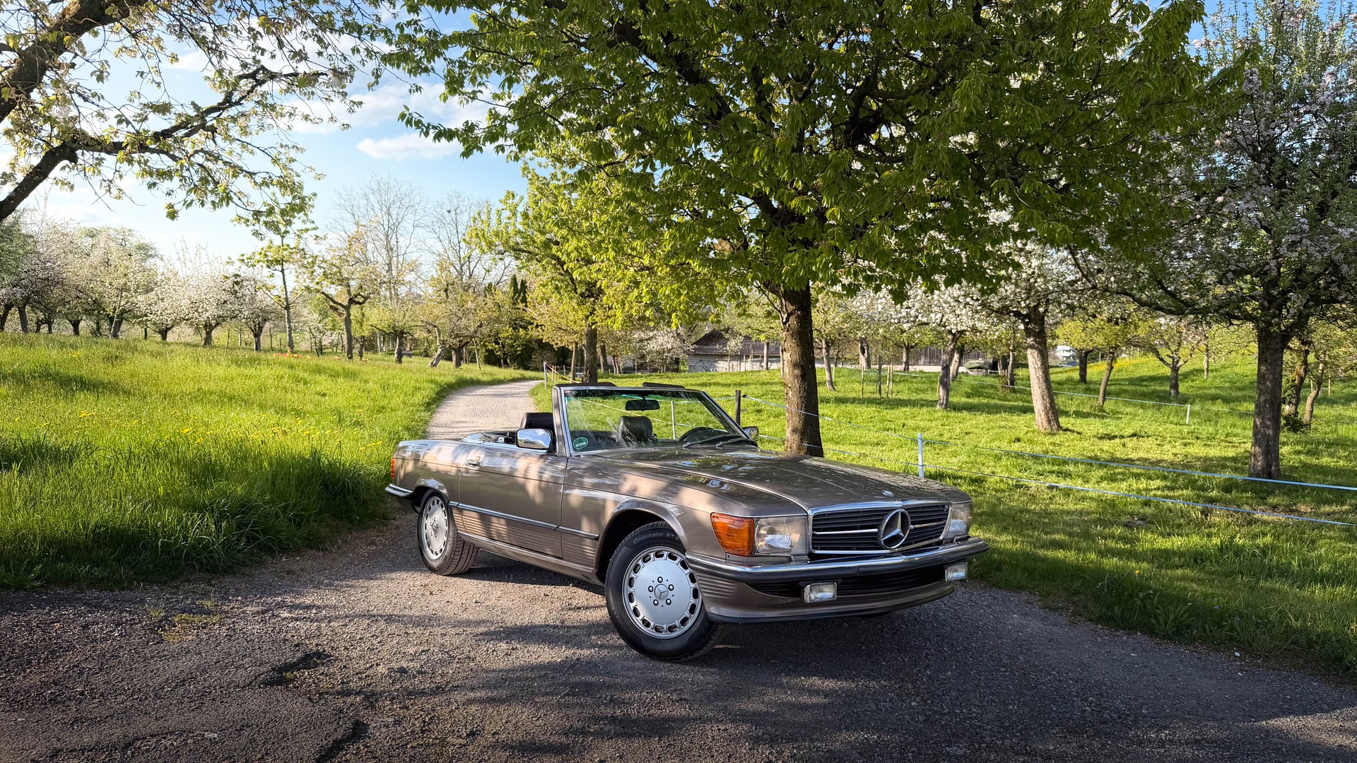 MERCEDES-BENZ 420 SL Automatic