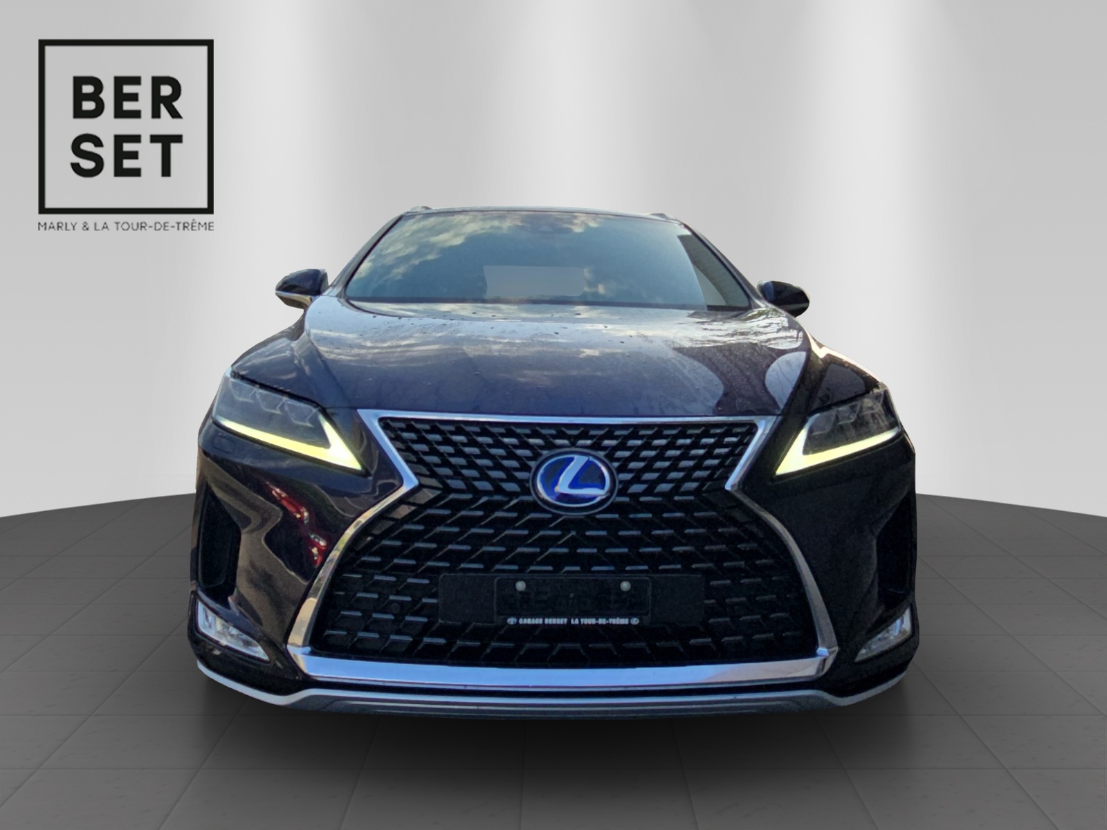 LEXUS RX 450h X-image-7