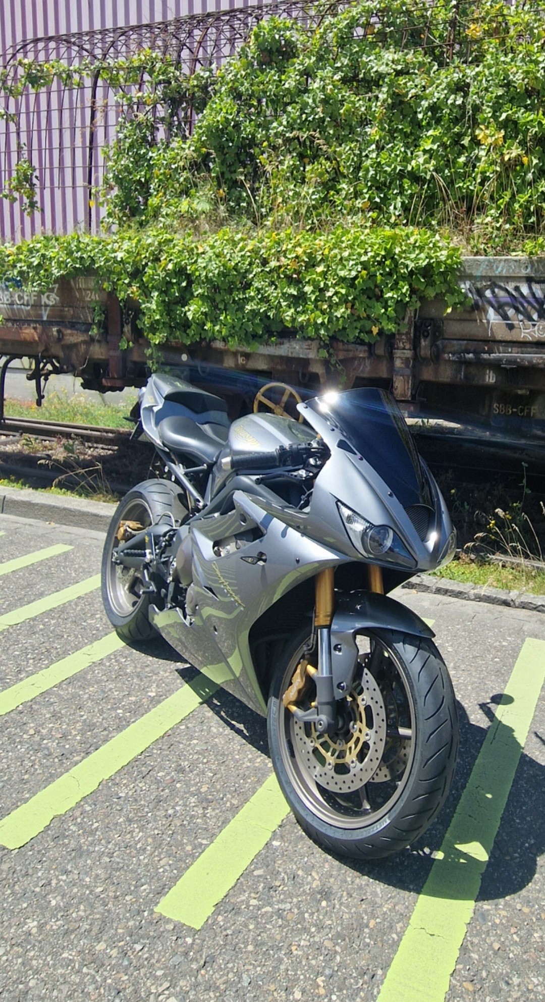 TRIUMPH Daytona 675-image-1