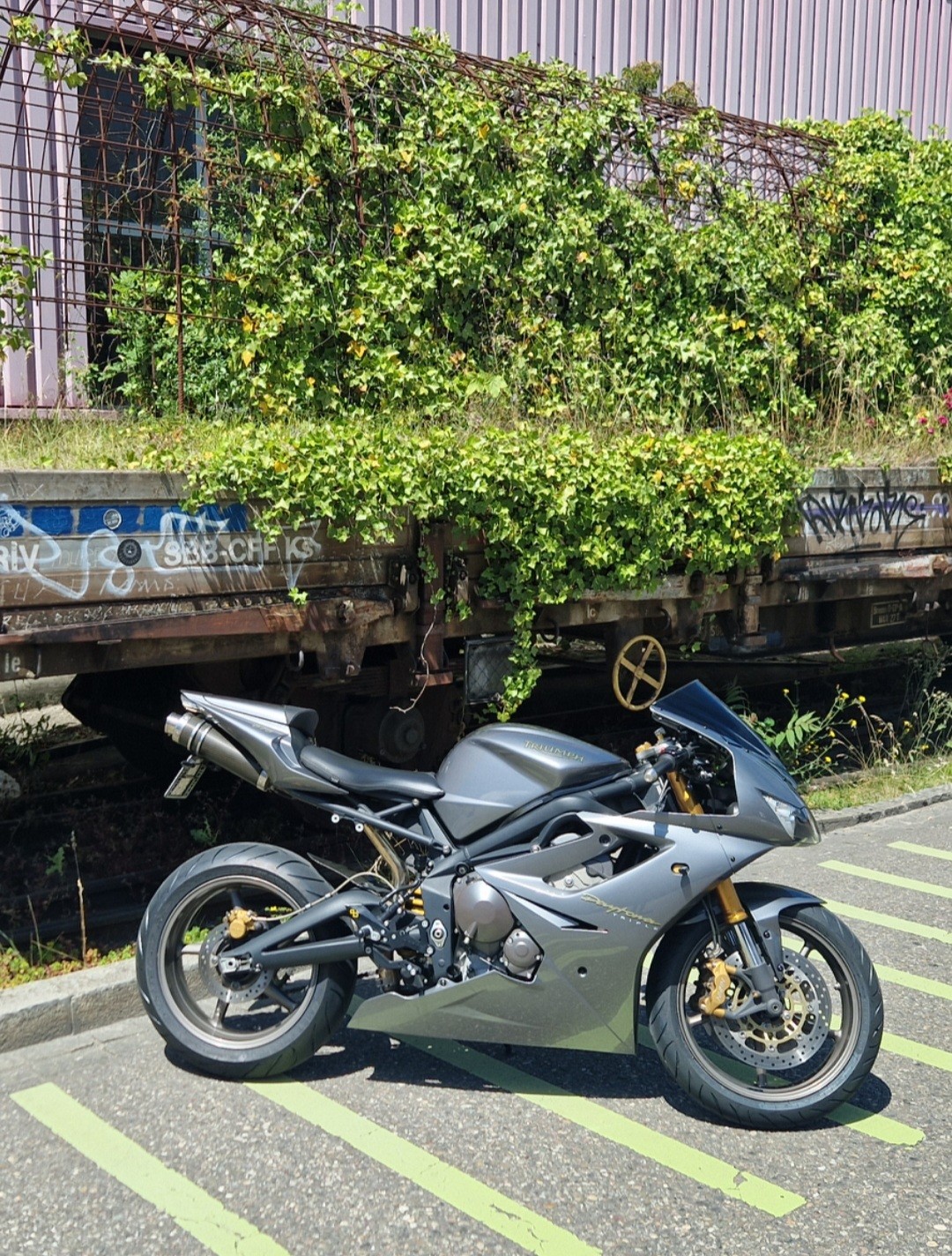TRIUMPH Daytona 675-image-2
