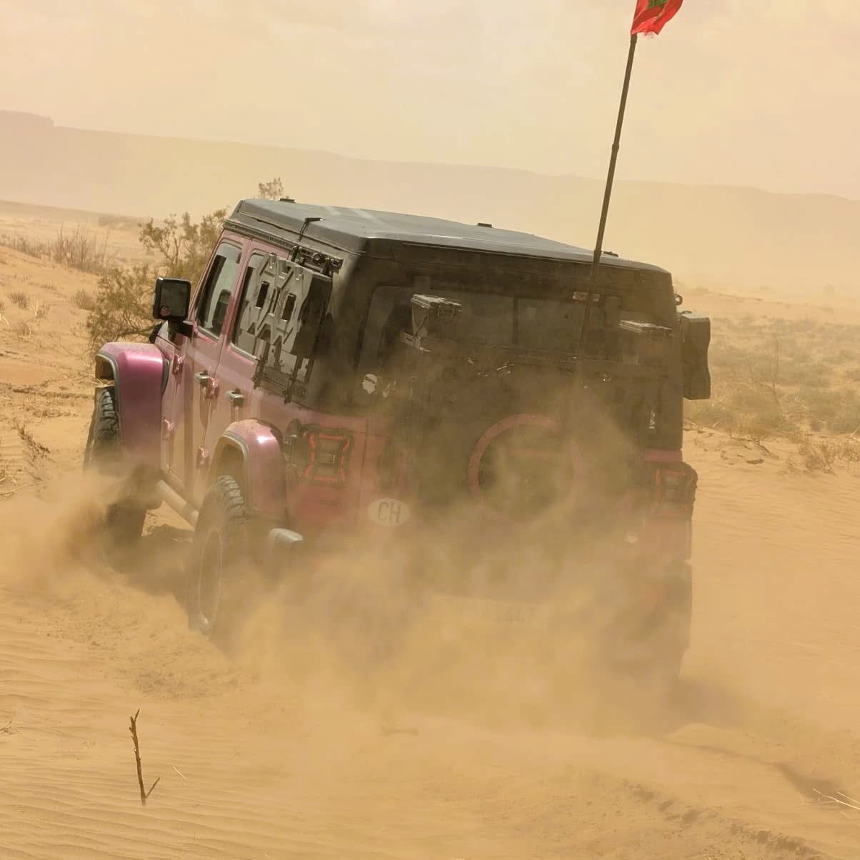 JEEP 2.0 Turbo Rubicon Power Unlimited 4xe-image-8