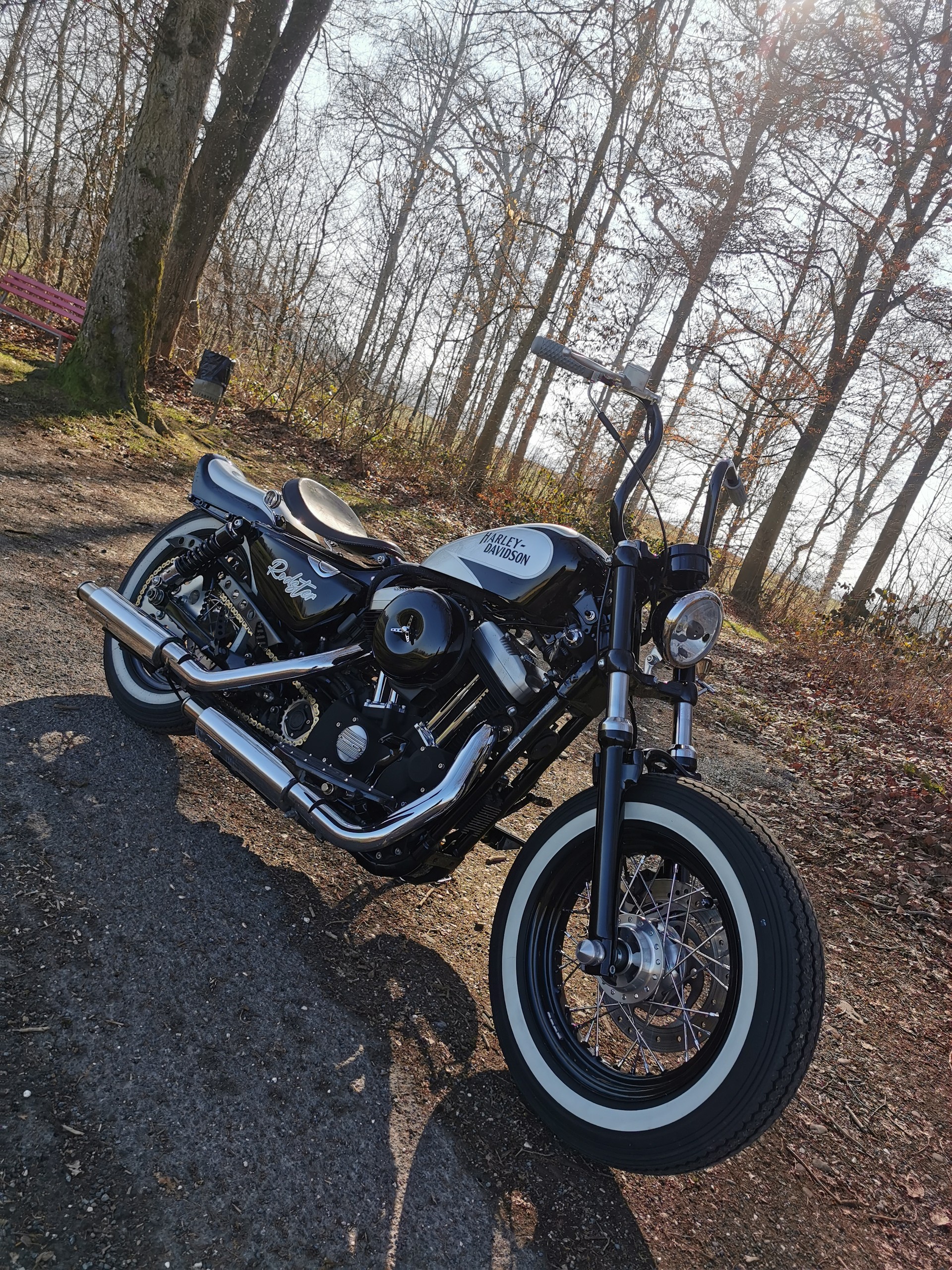 HARLEY-DAVIDSON XL 1200 X Forty Eight-image-2