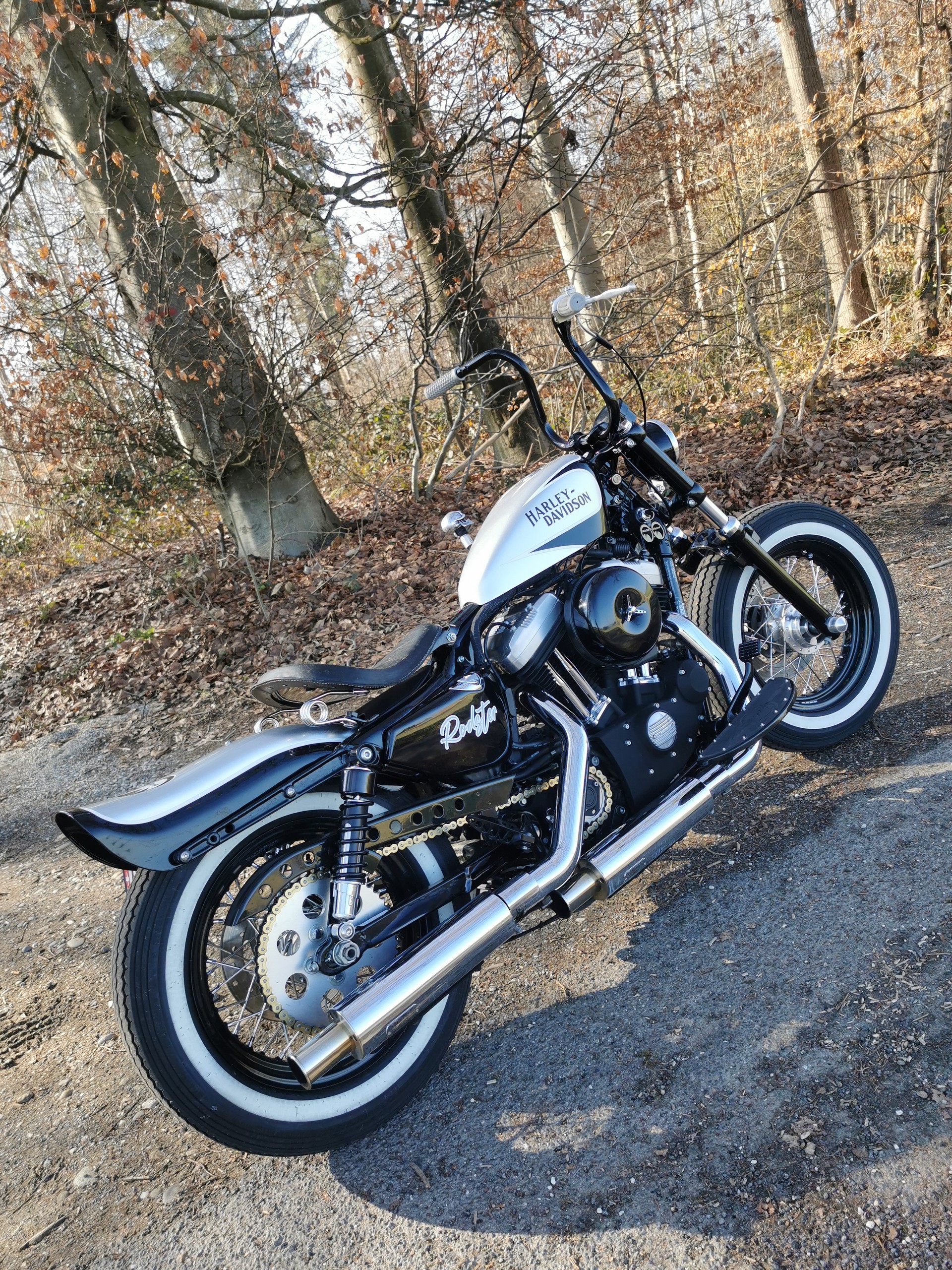 HARLEY-DAVIDSON XL 1200 X Forty Eight-image-1