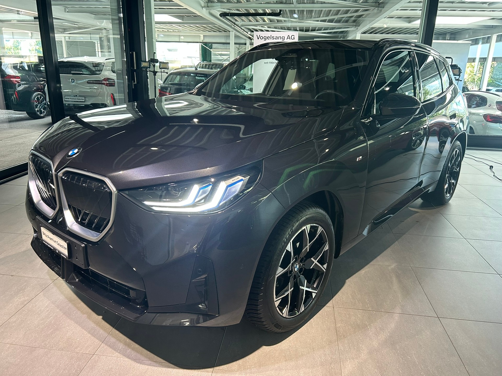 BMW X3 xDrive 48V 20d M Sport-showroom-element-2