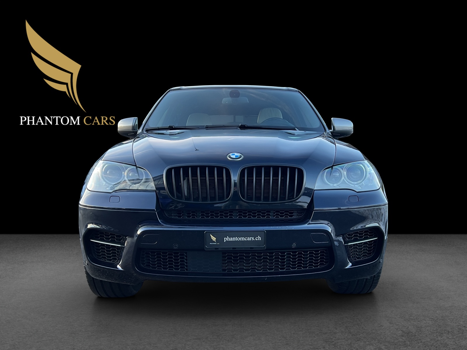 BMW X5 xDrive M50d Steptronic-showroom-element-2