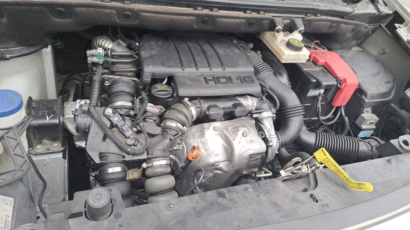 CITROEN Berlingo 1.6 HDi 600 Komfort (Confort)-image-12