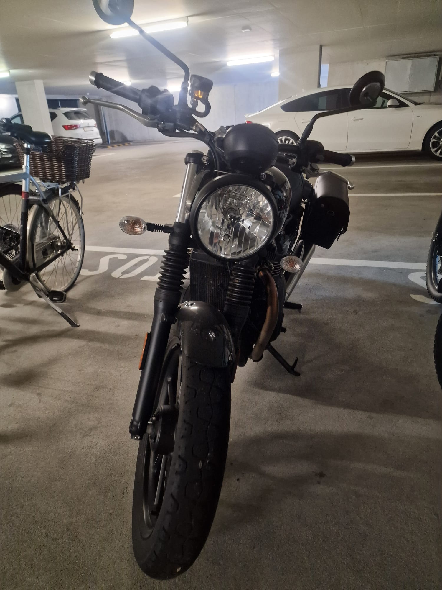 TRIUMPH Street Twin 900 Gold Line-image-1