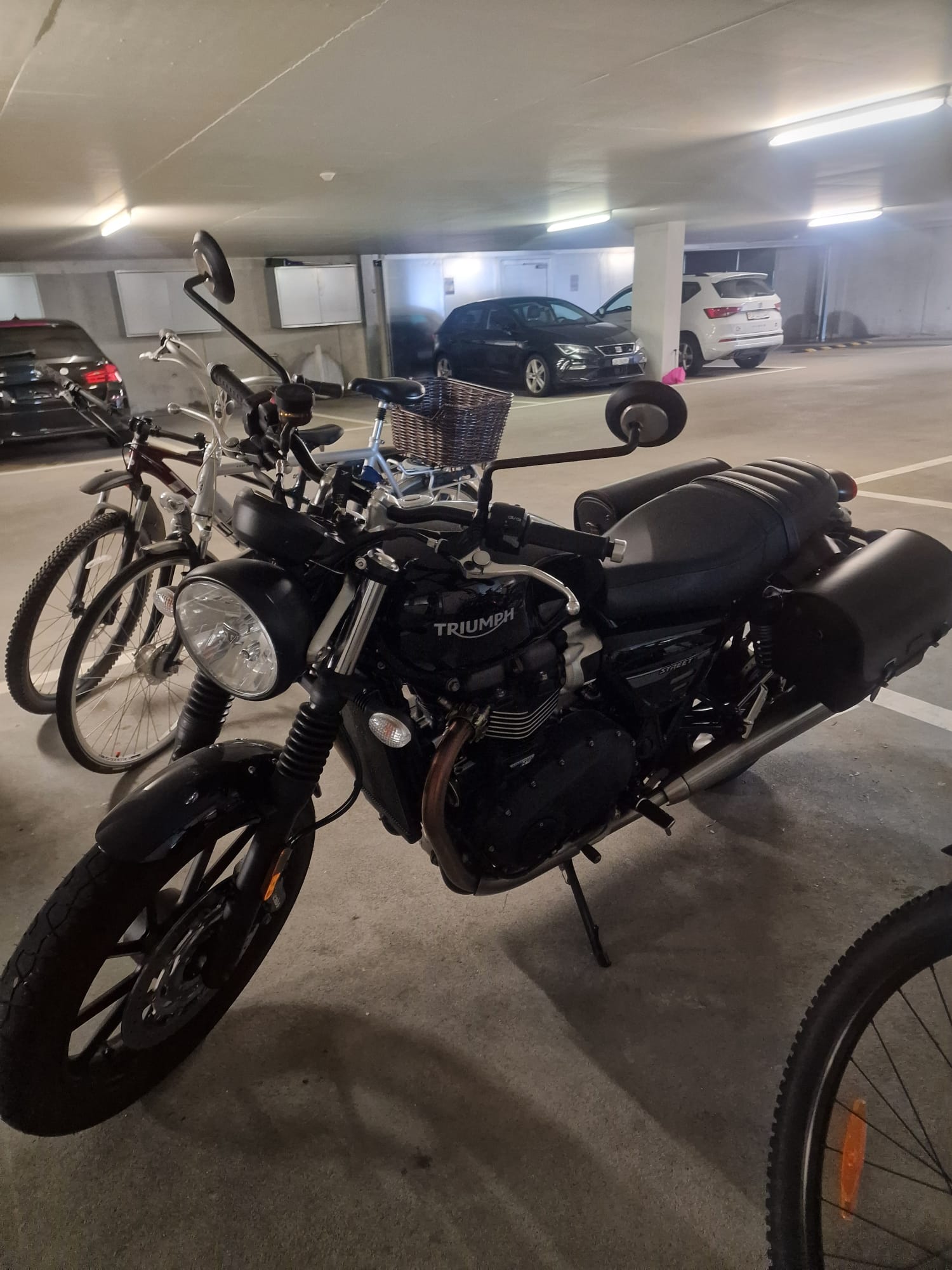 TRIUMPH Street Twin 900 Gold Line-image-2
