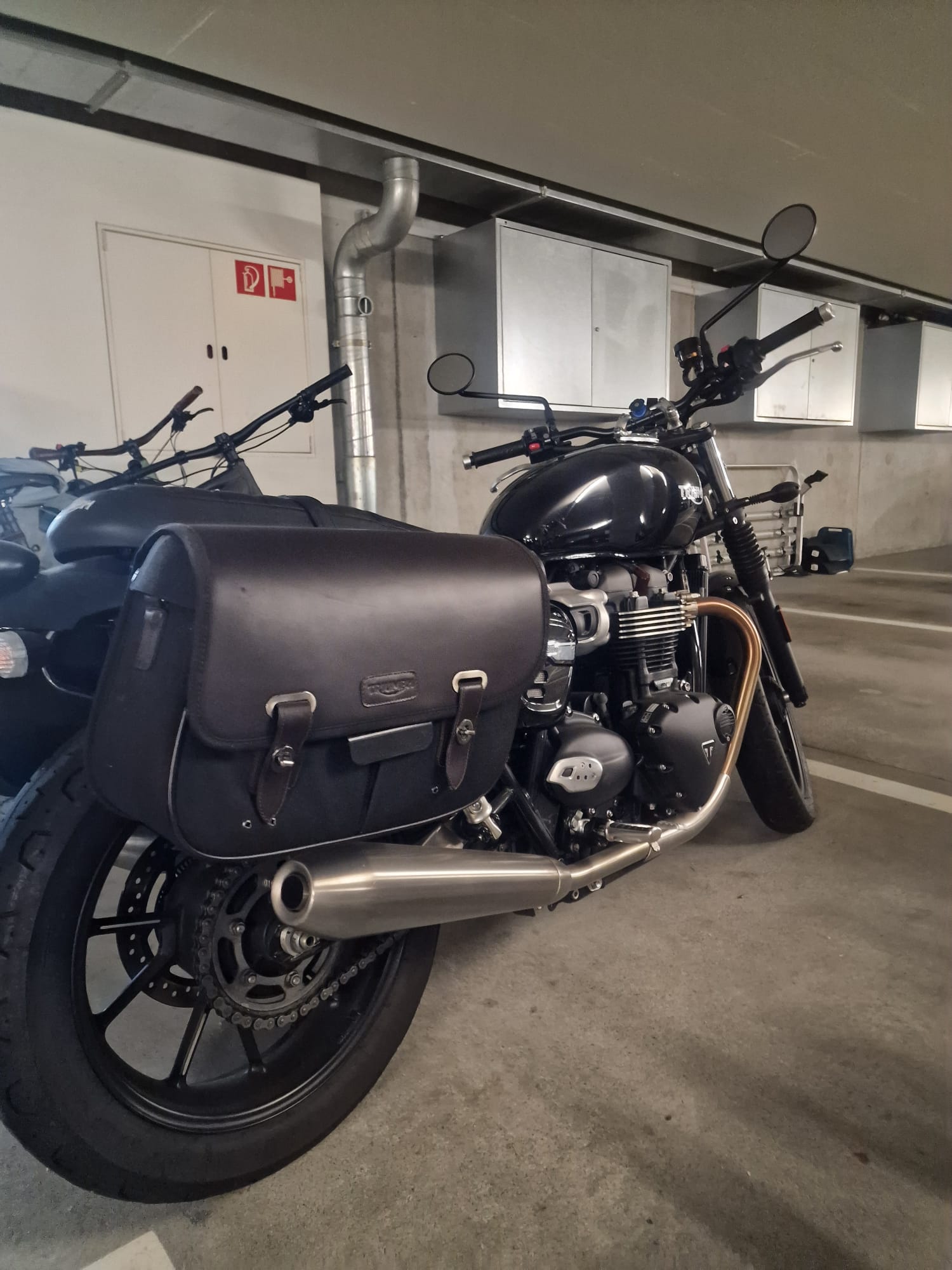 TRIUMPH Street Twin 900 Gold Line-image-4