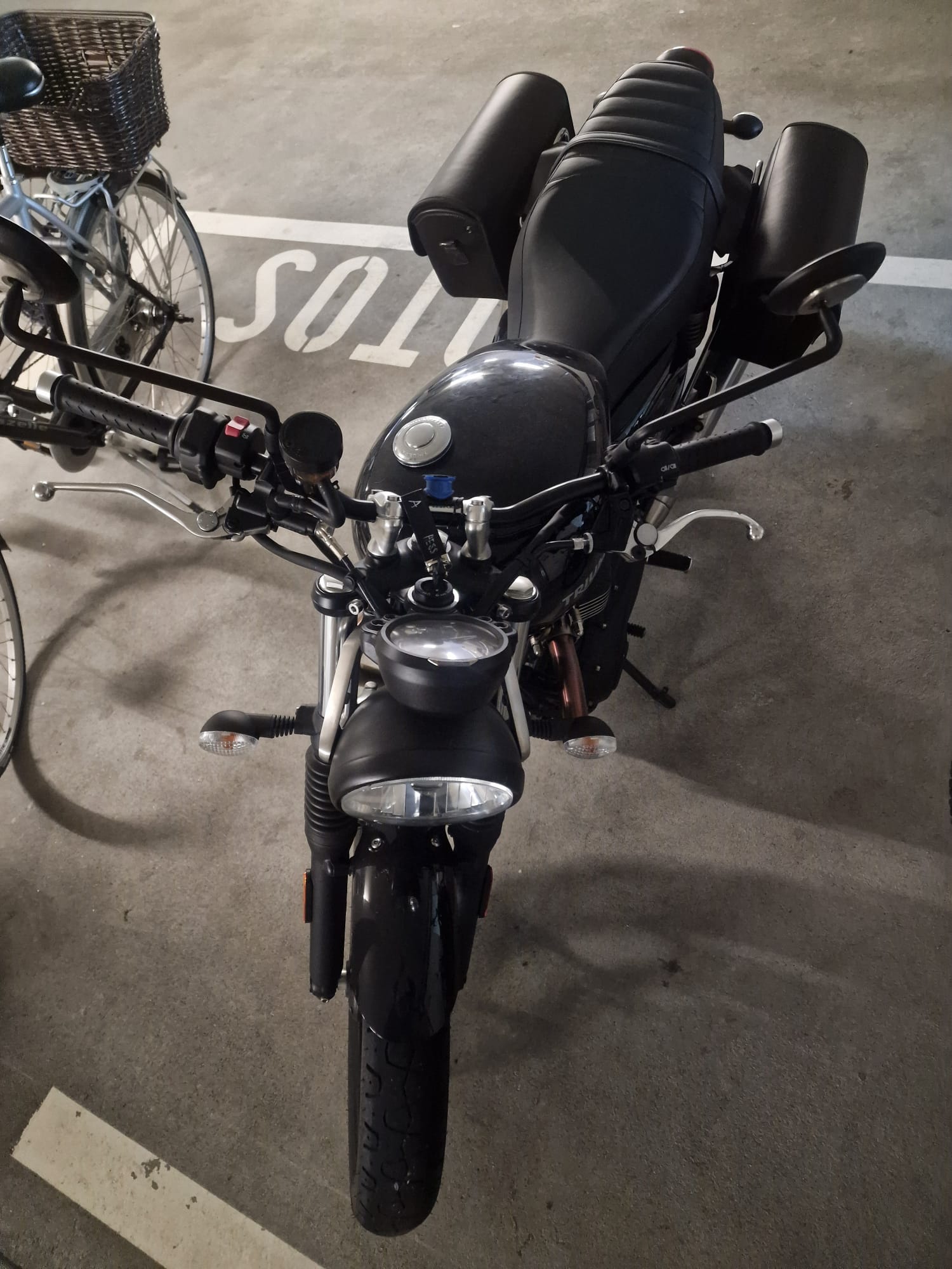 TRIUMPH Street Twin 900 Gold Line-image-3