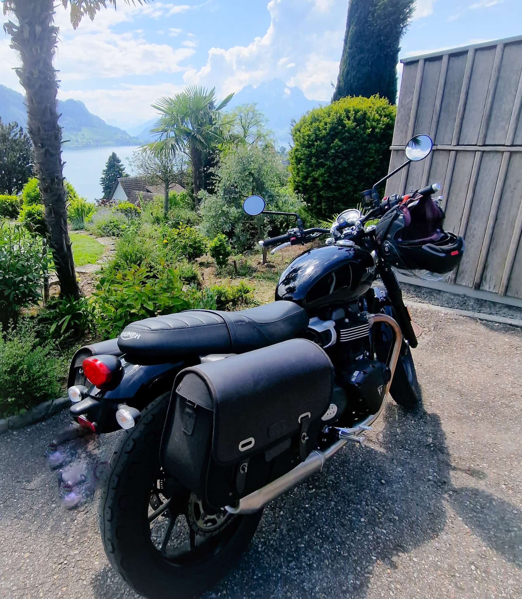 TRIUMPH Street Twin 900 Gold Line-image-0