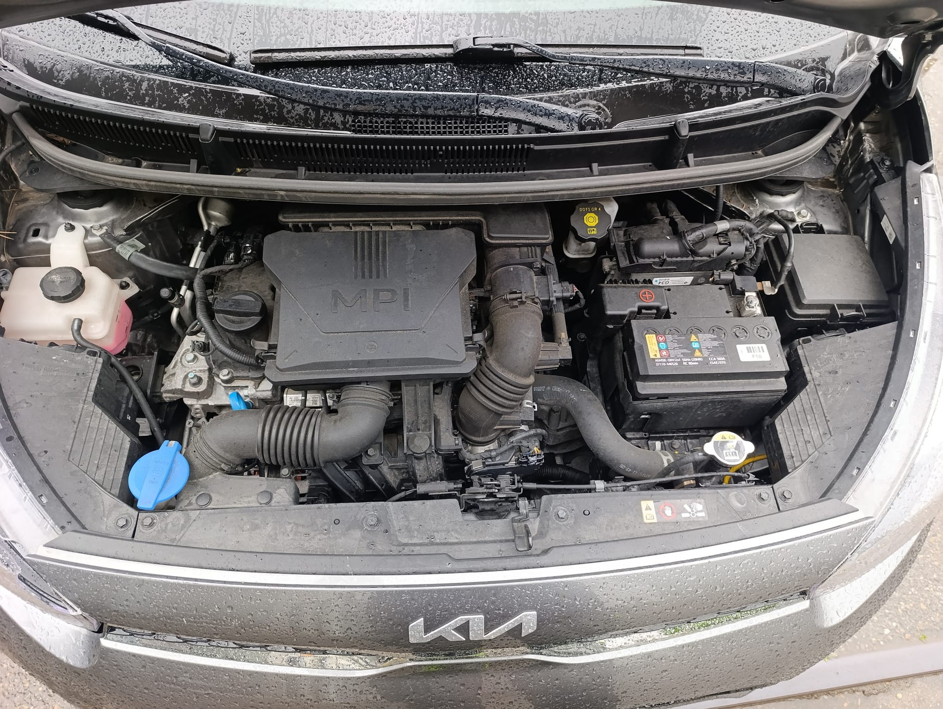 KIA Picanto 1.0 CVVT First Edition AMT-image-9