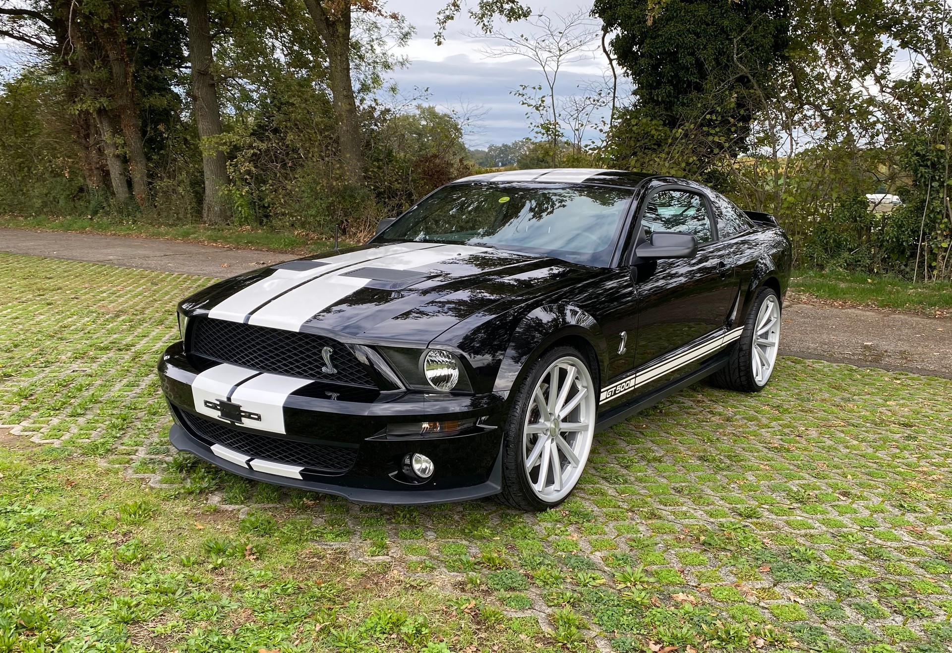FORD Mustang GT 500 Shelby