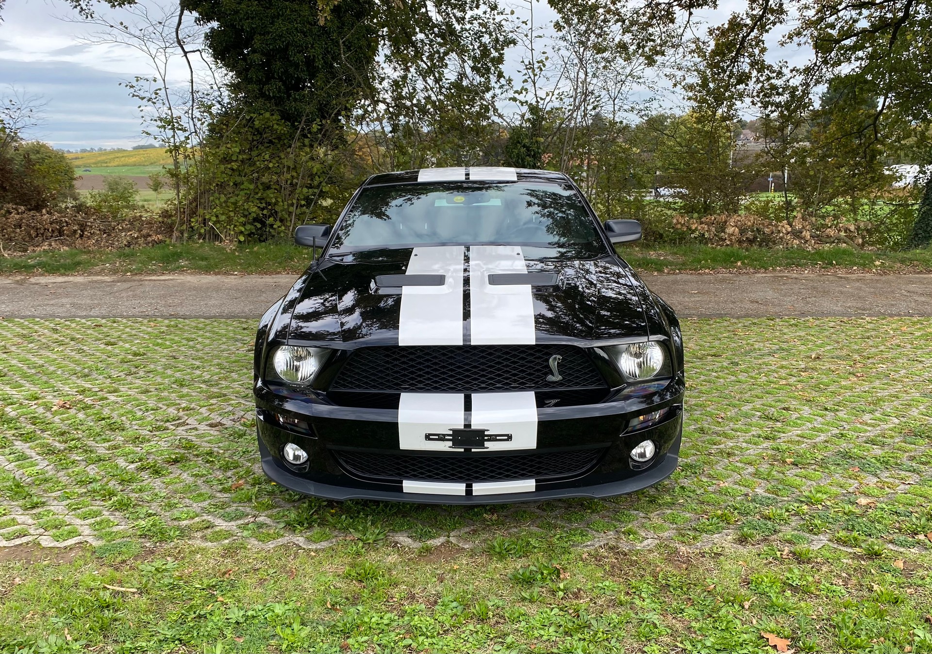 FORD Mustang GT 500 Shelby-image-1