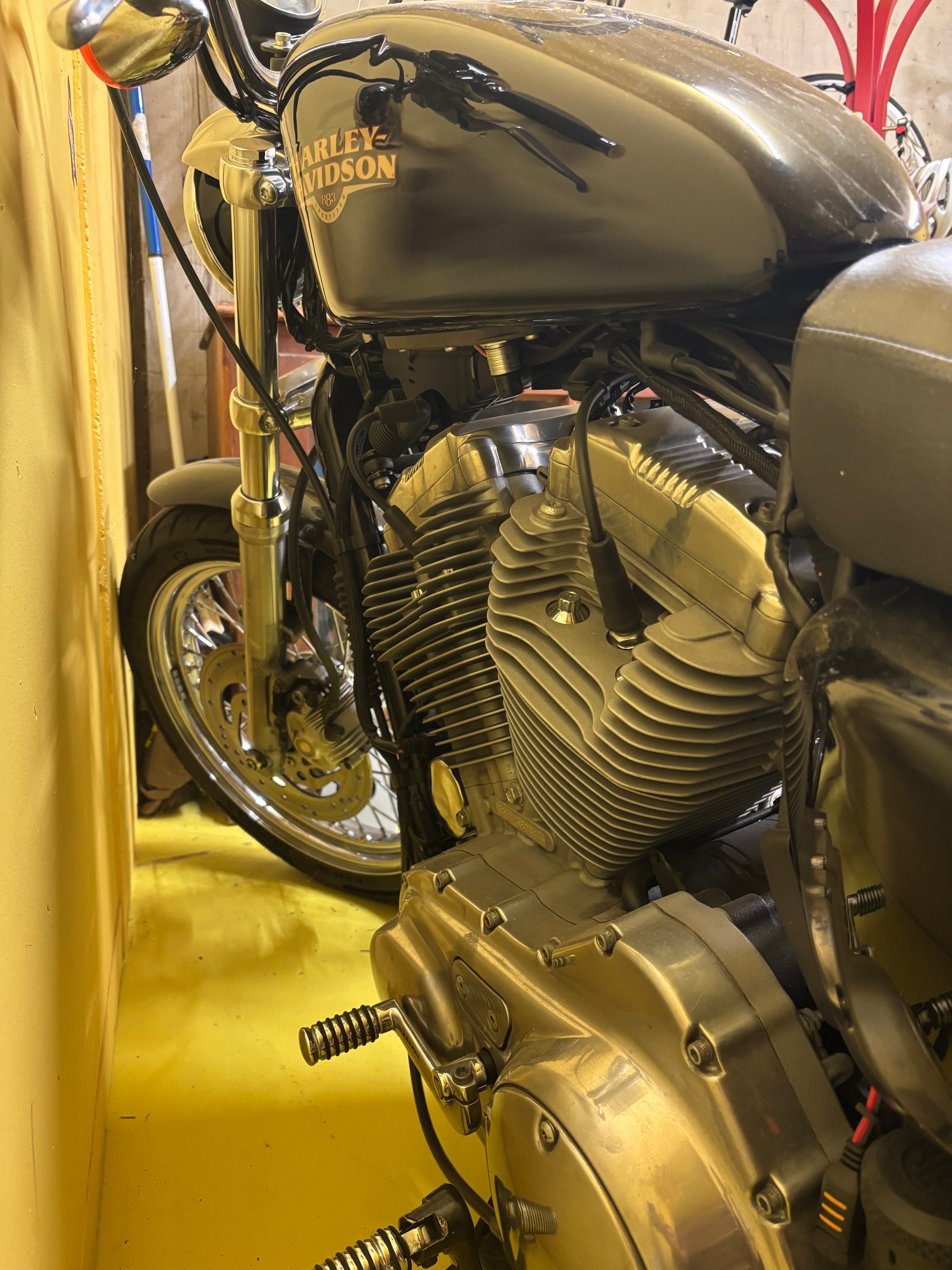 HARLEY-DAVIDSON XL 883 L Sportster Low Injection-image-3