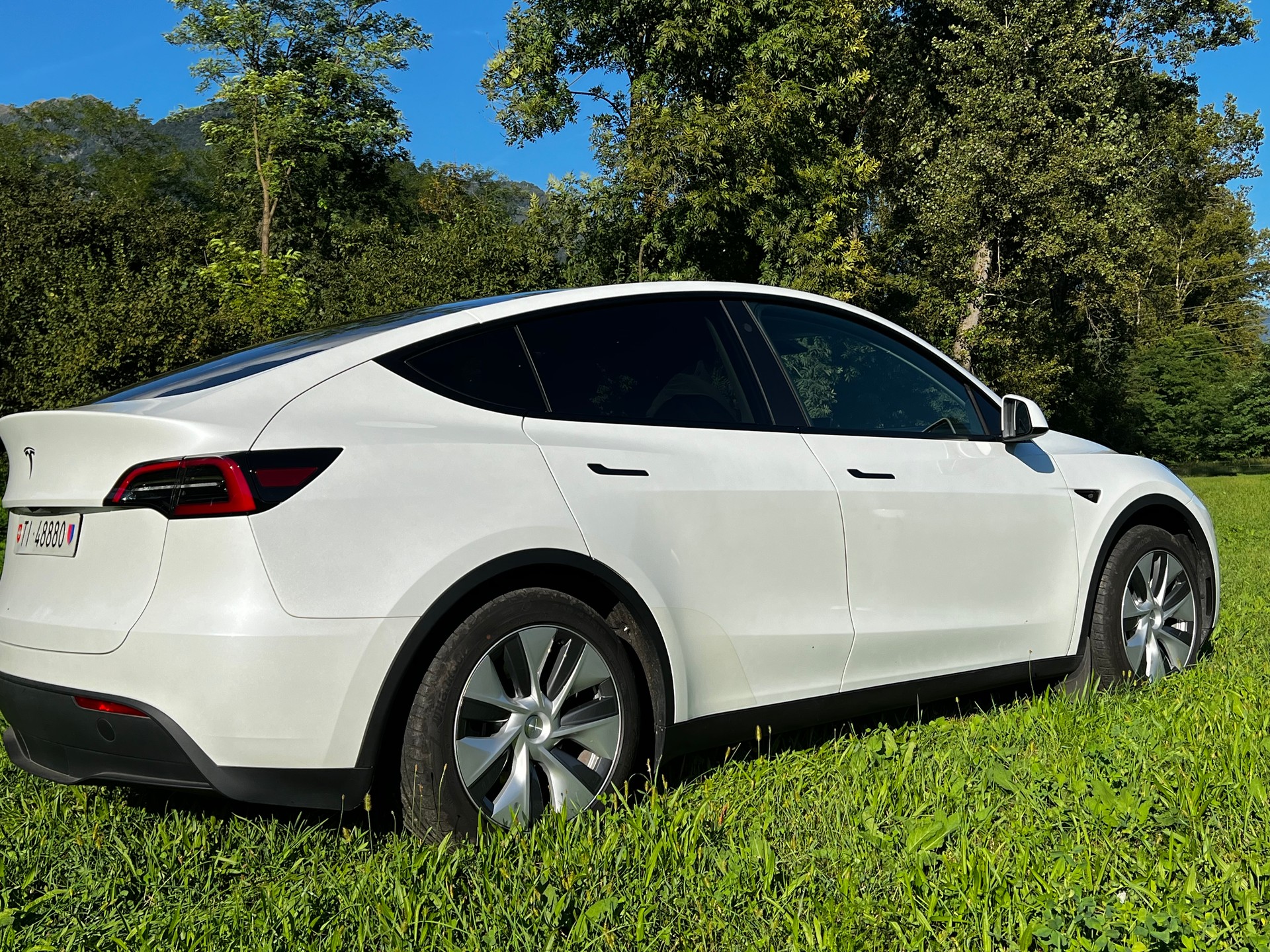 TESLA Model Y RWD-image-3