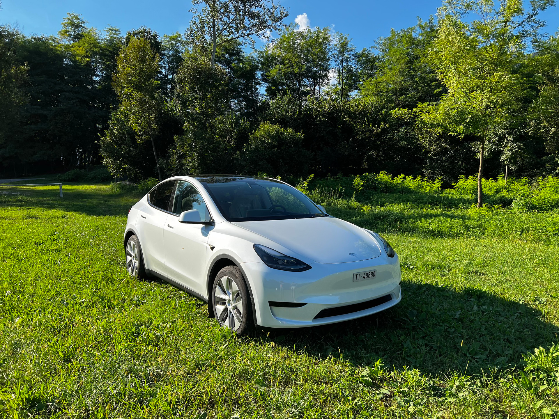 TESLA Model Y RWD
