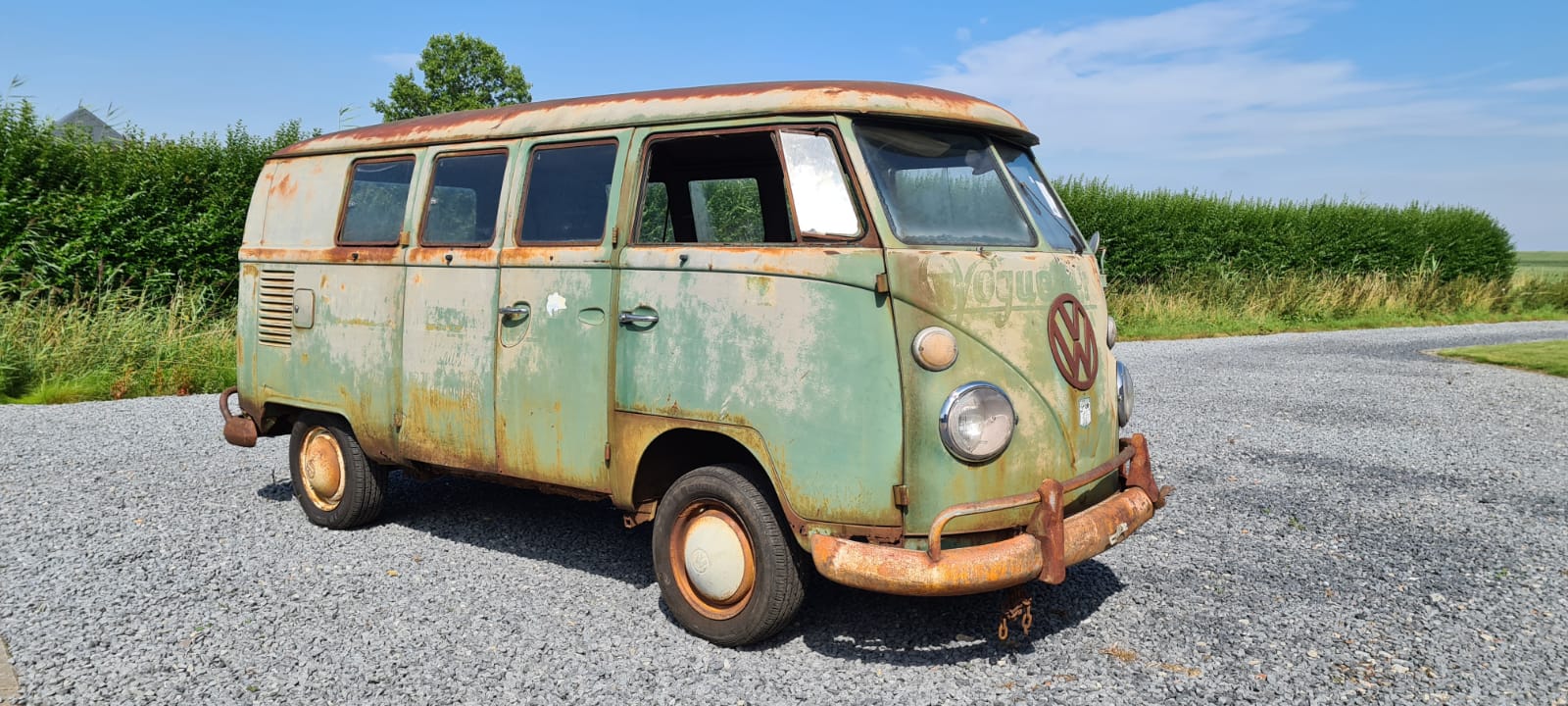 VW T1