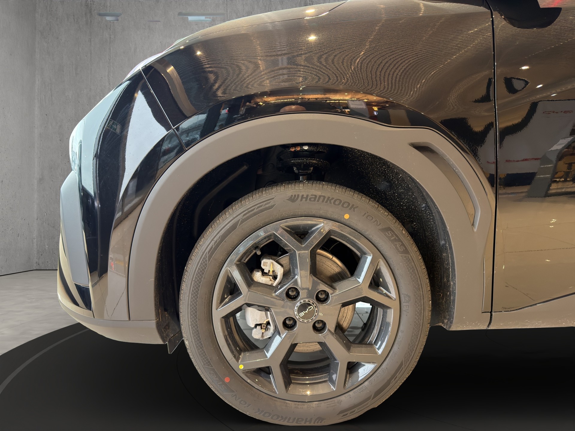 BYD Dolphin Surf Comfort-image-15