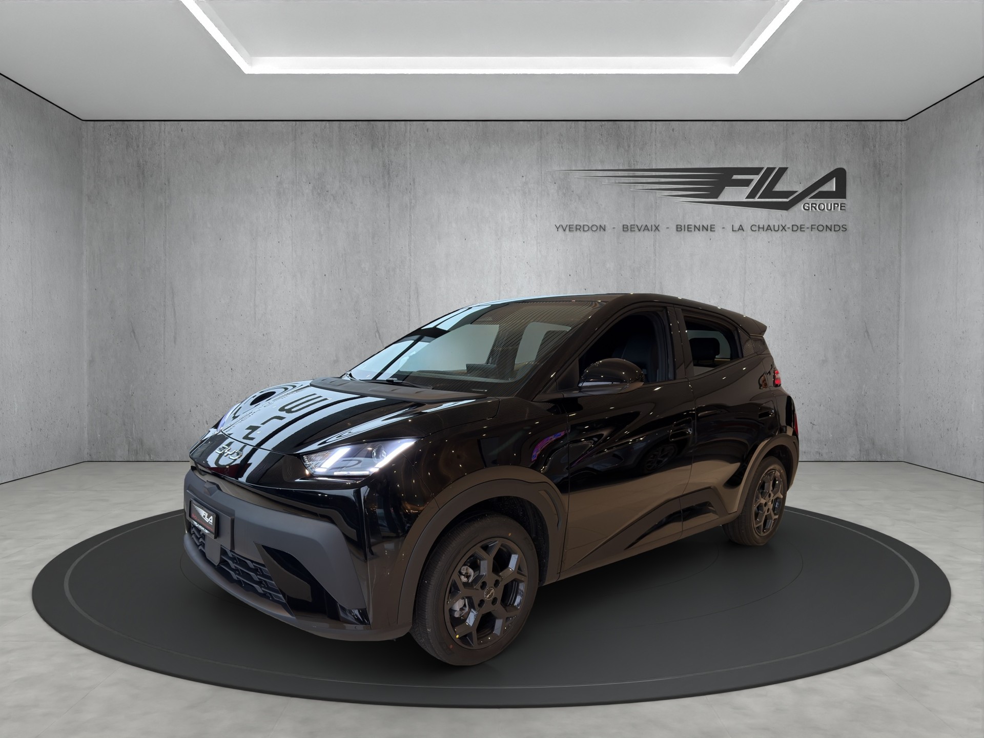 BYD Dolphin Surf Comfort-showroom-element-1