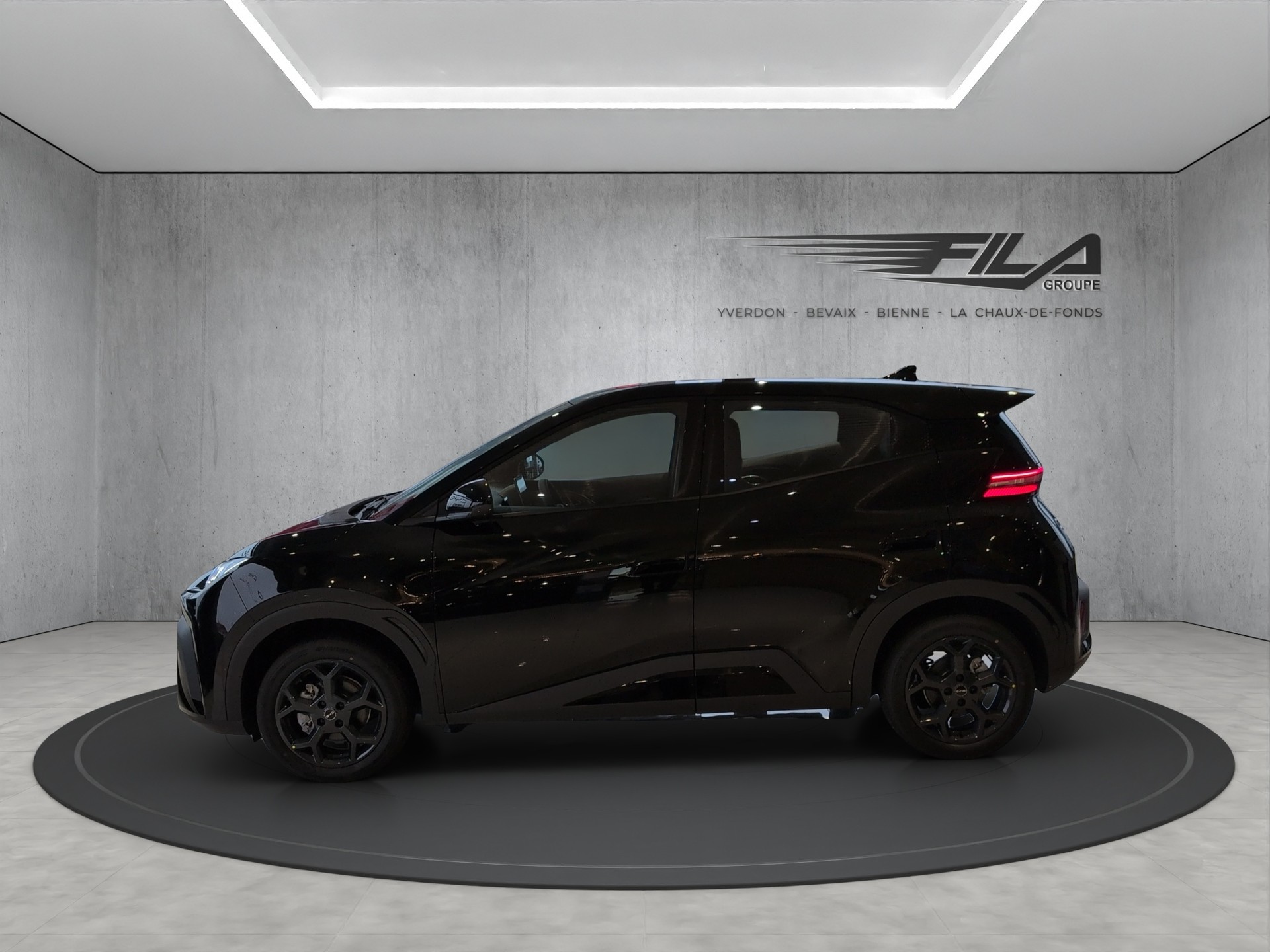 BYD Dolphin Surf Comfort-showroom-element-3
