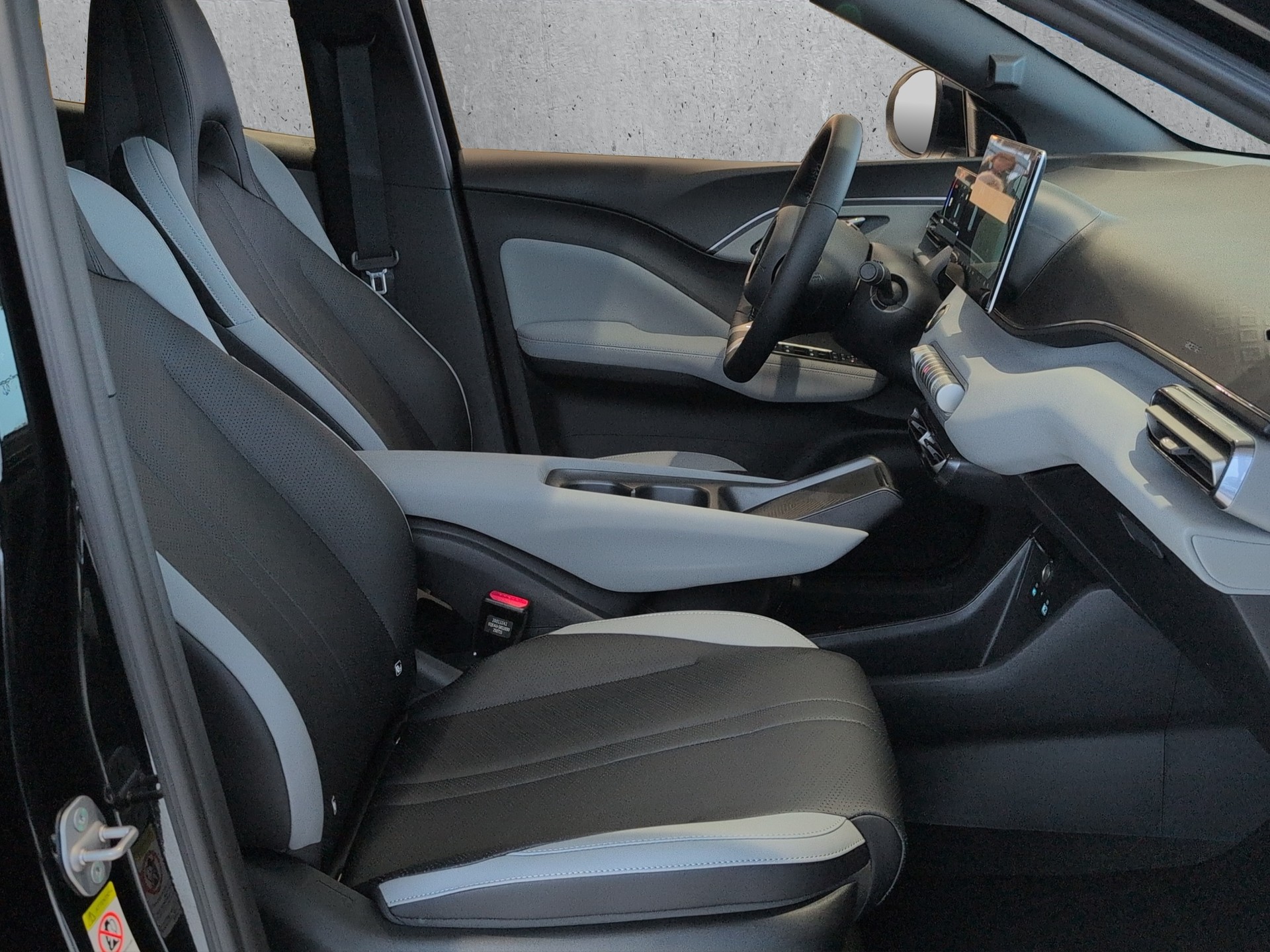 BYD Dolphin Surf Comfort-image-11