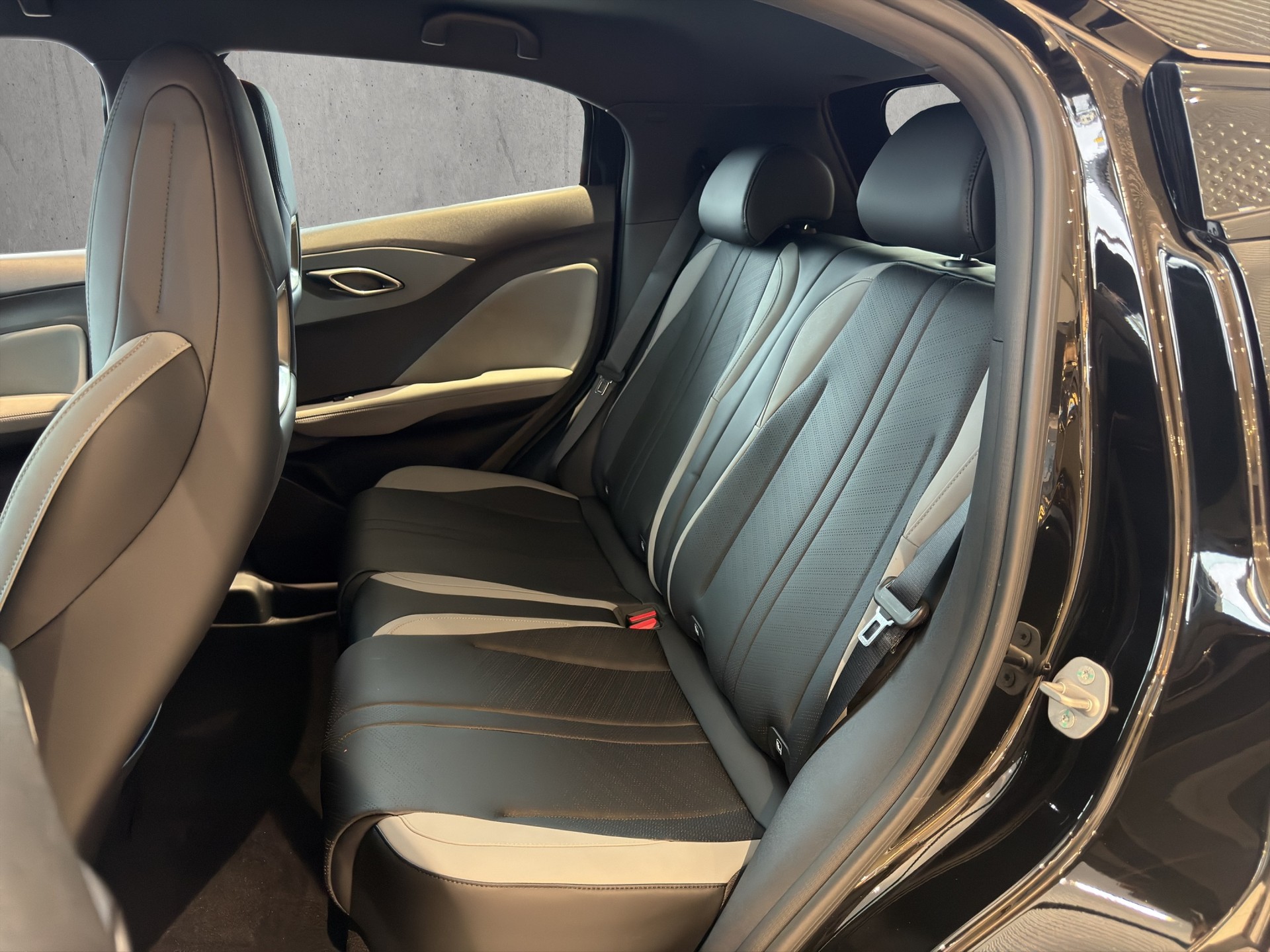BYD Dolphin Surf Comfort-image-13