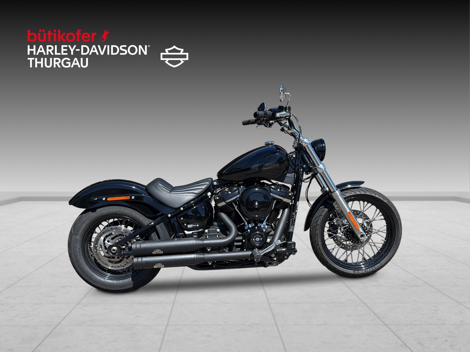 HARLEY-DAVIDSON FXST Softail Standard 107-image-1