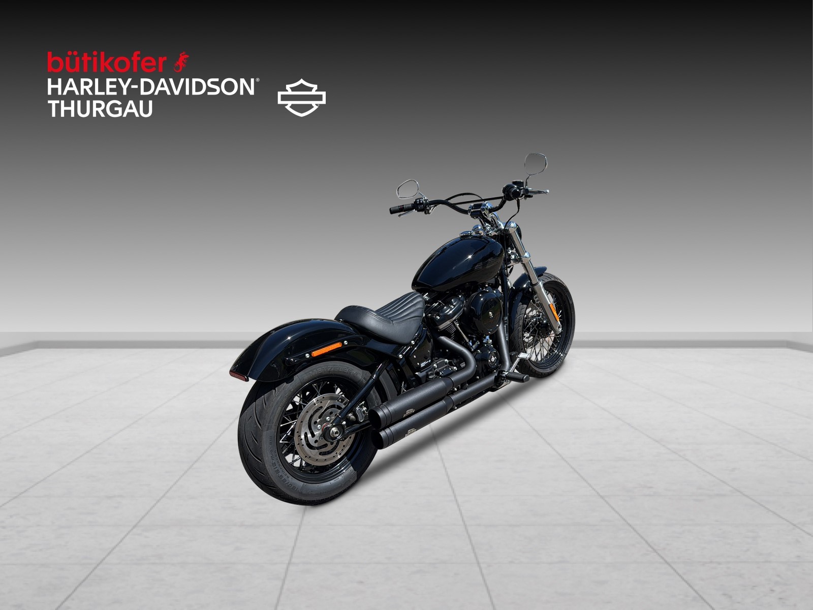 HARLEY-DAVIDSON FXST Softail Standard 107-image-2