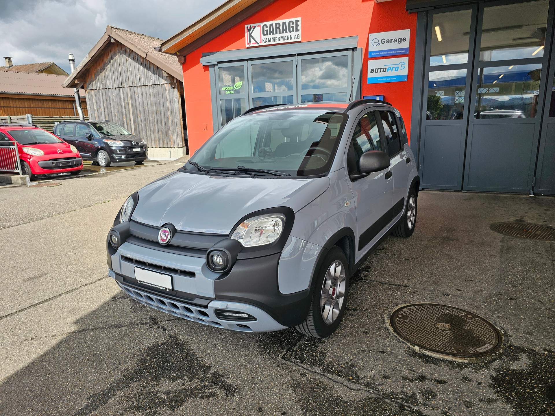 FIAT Panda 1.0 MHEV City Cross-image-2