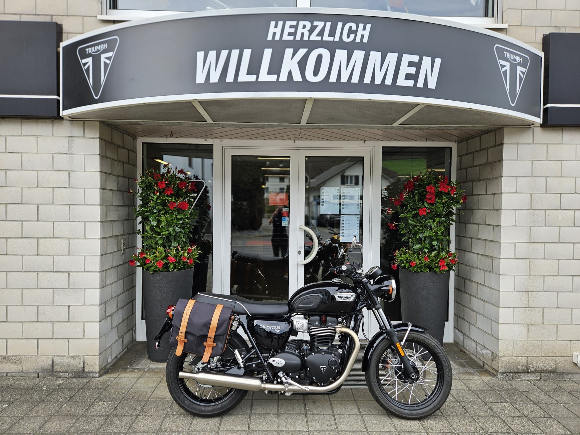 TRIUMPH Bonneville 900 T 100-image-0