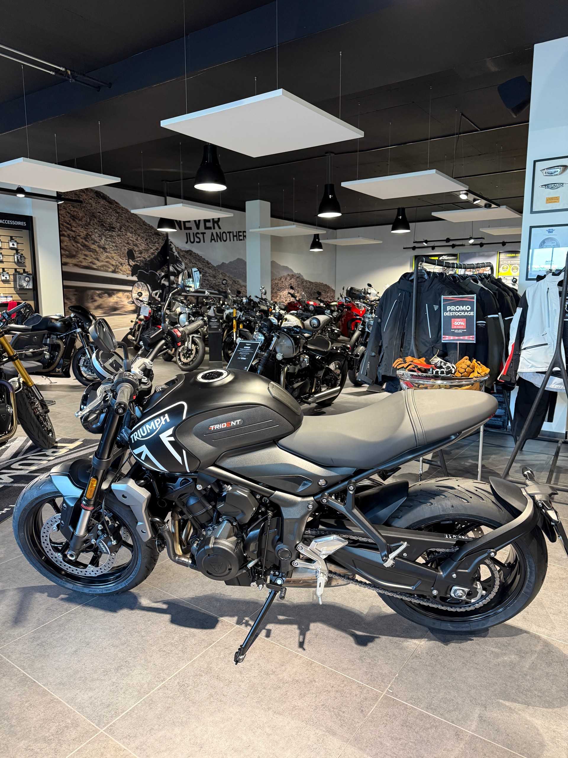 TRIUMPH Trident 660-image-1