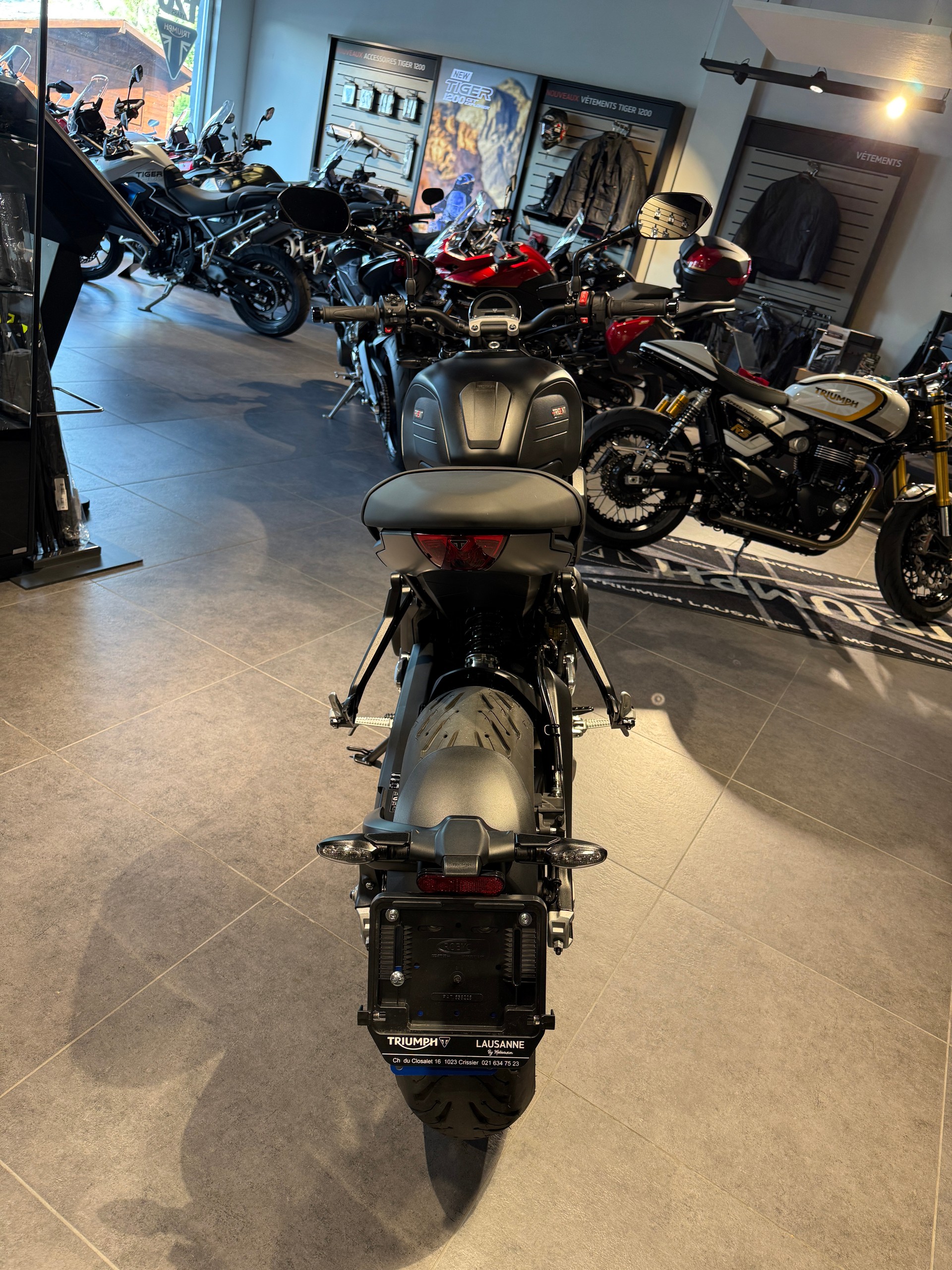 TRIUMPH Trident 660-image-3