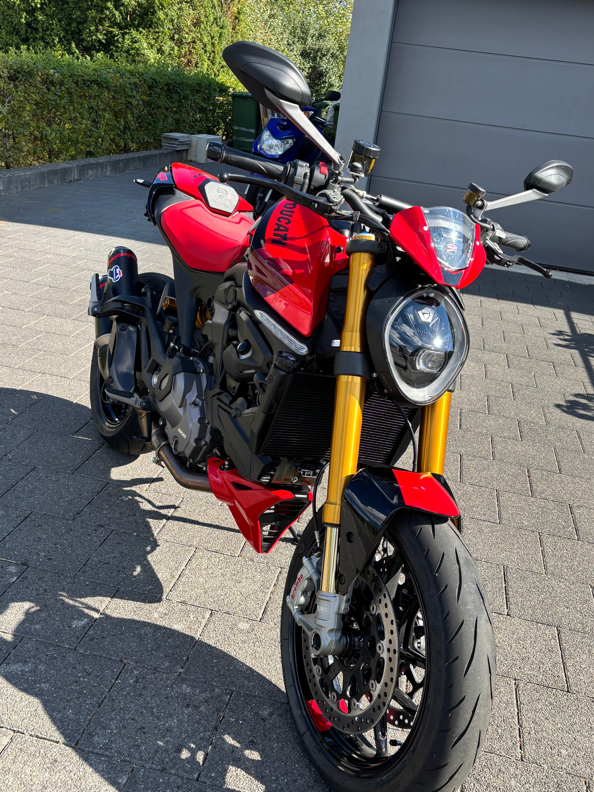 DUCATI Monster SP 937-image-2