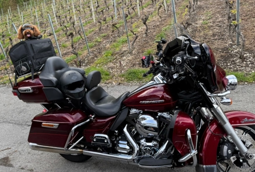 HARLEY-DAVIDSON FLHTK Electra Glide Ultra Limited-image-1